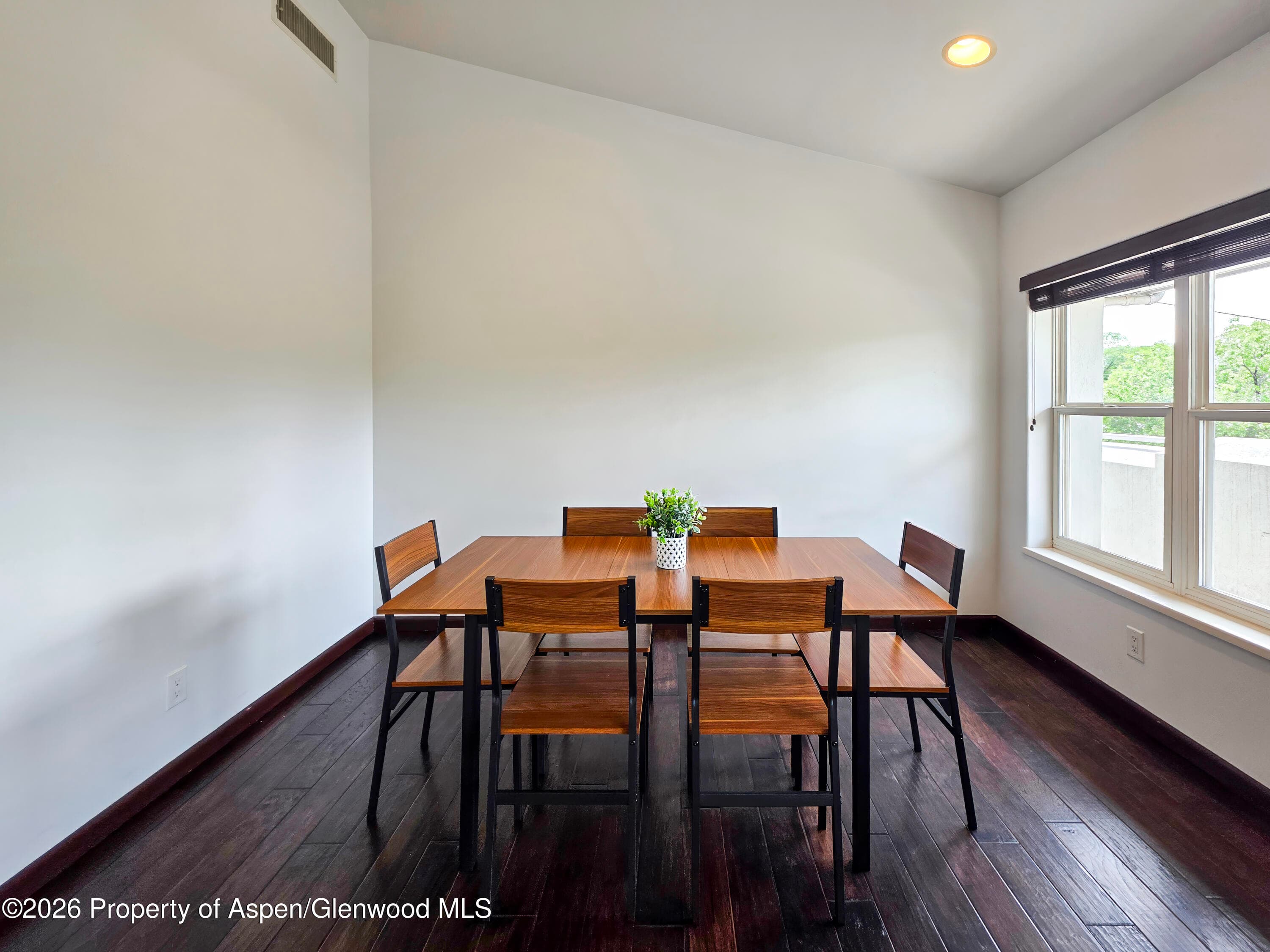 60 S 8th Street 301, Carbondale, CO 81623 - Photo 5