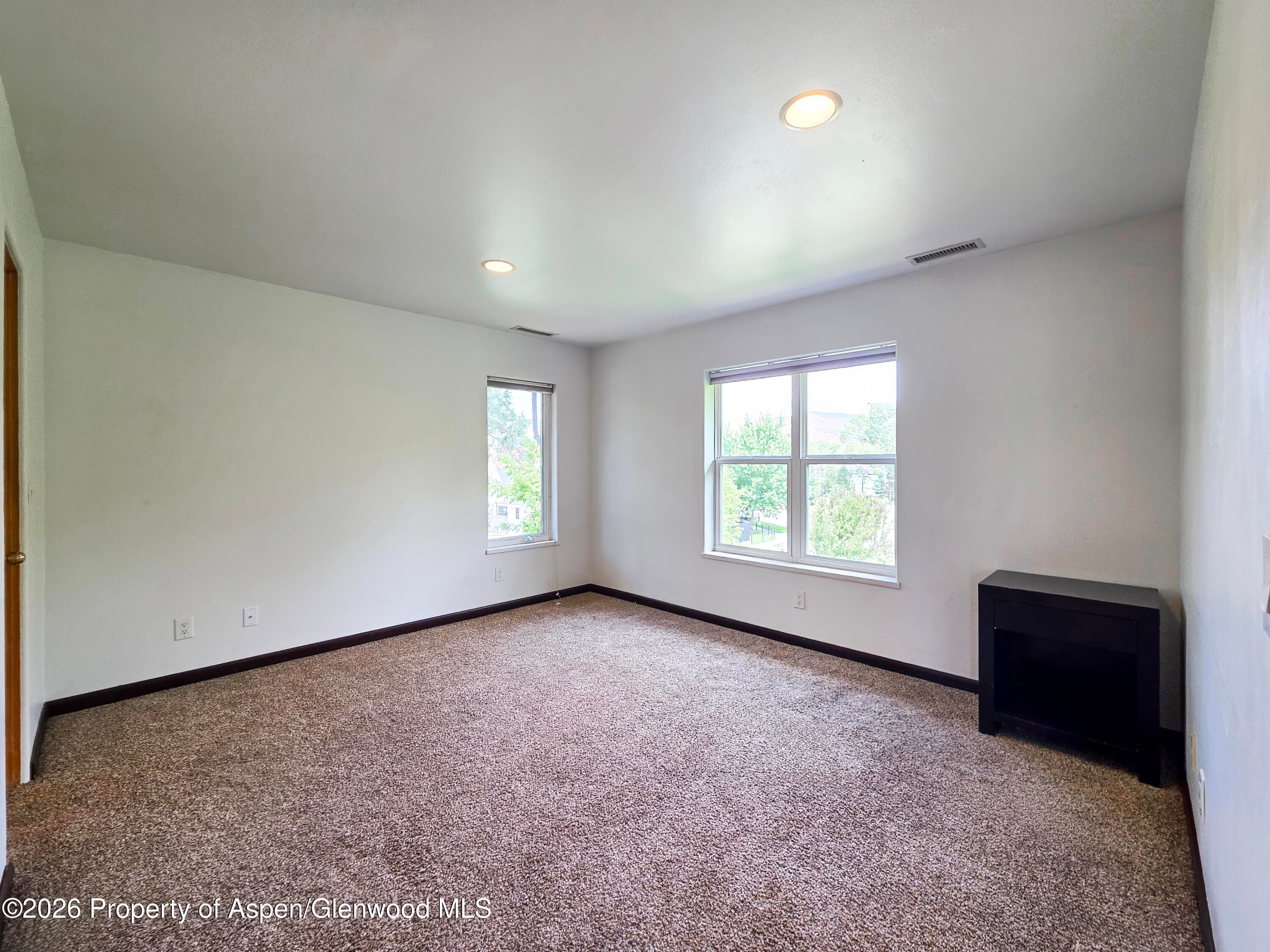 60 S 8th Street 301, Carbondale, CO 81623 - Photo 10