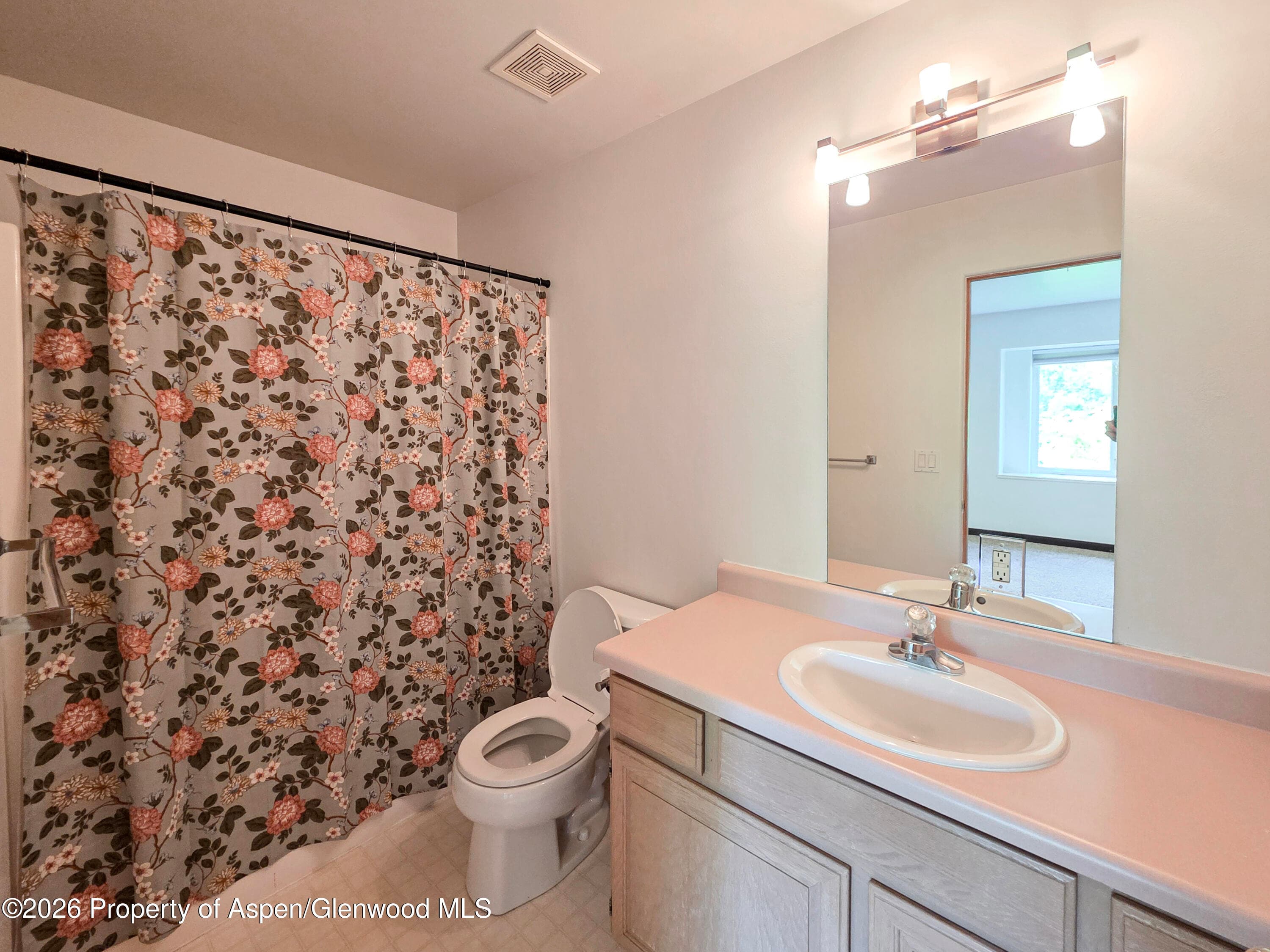 60 S 8th Street 301, Carbondale, CO 81623 - Photo 9