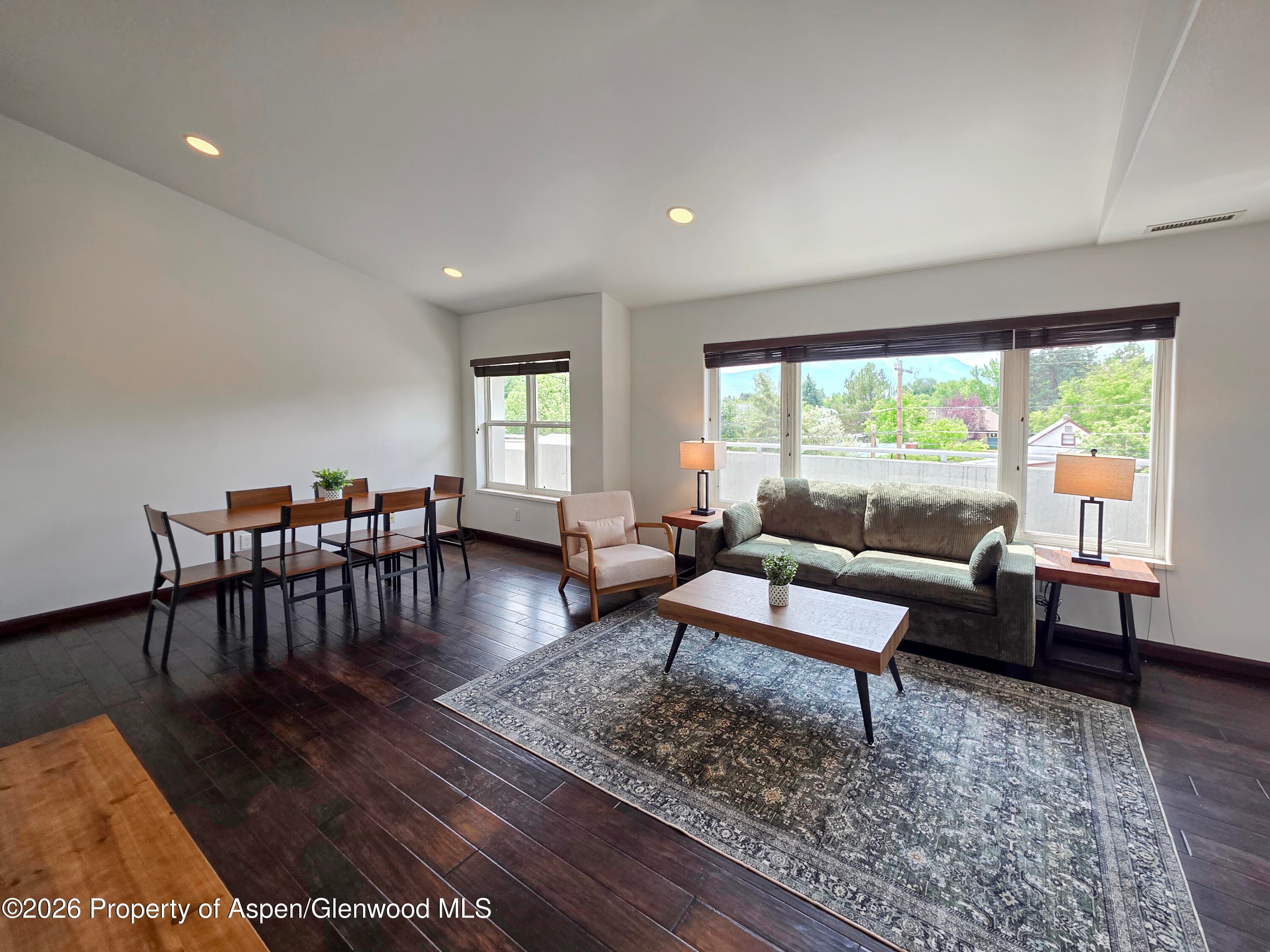60 S 8th Street 301, Carbondale, CO 81623 - Photo 2