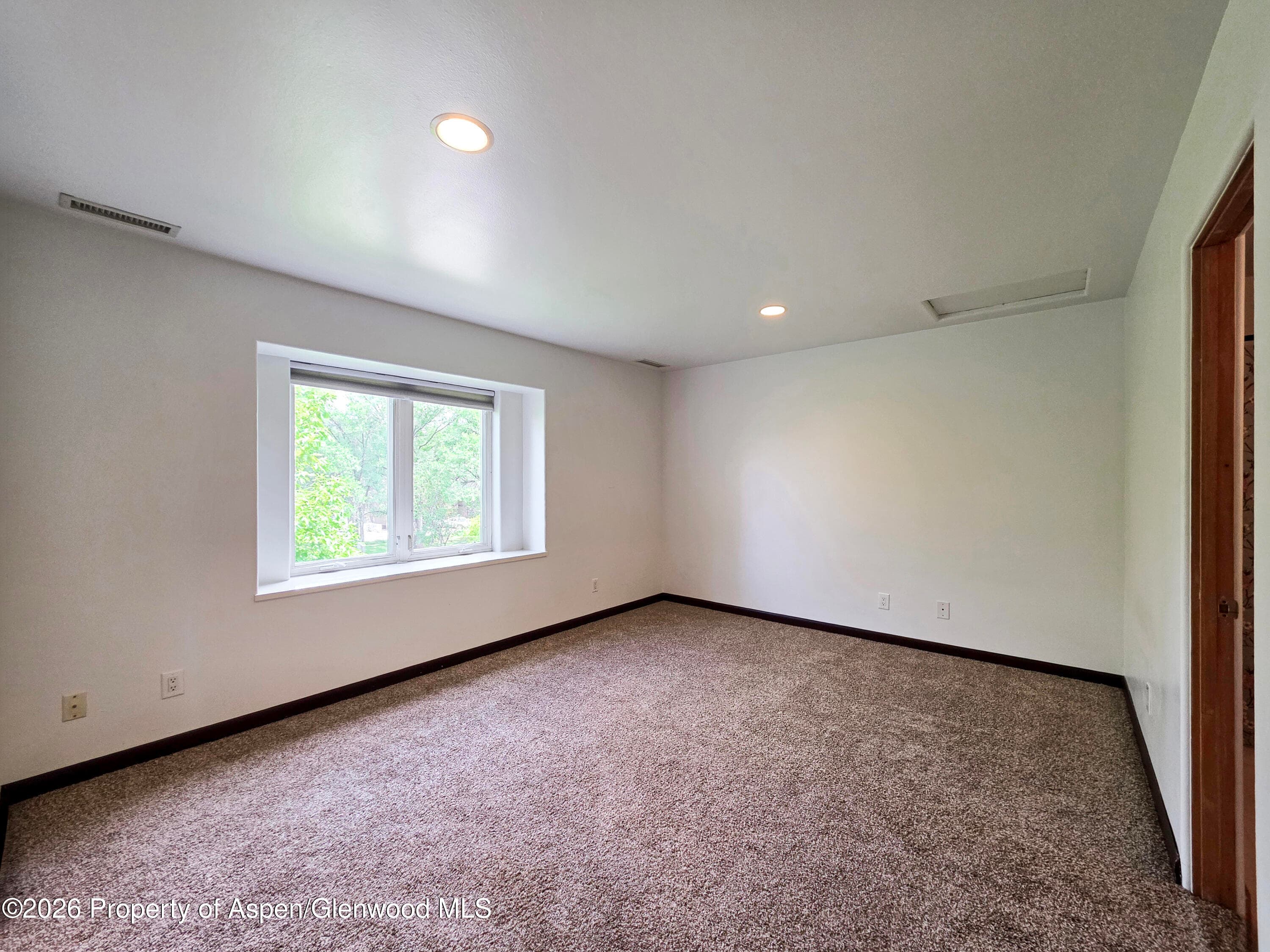 60 S 8th Street 301, Carbondale, CO 81623 - Photo 8