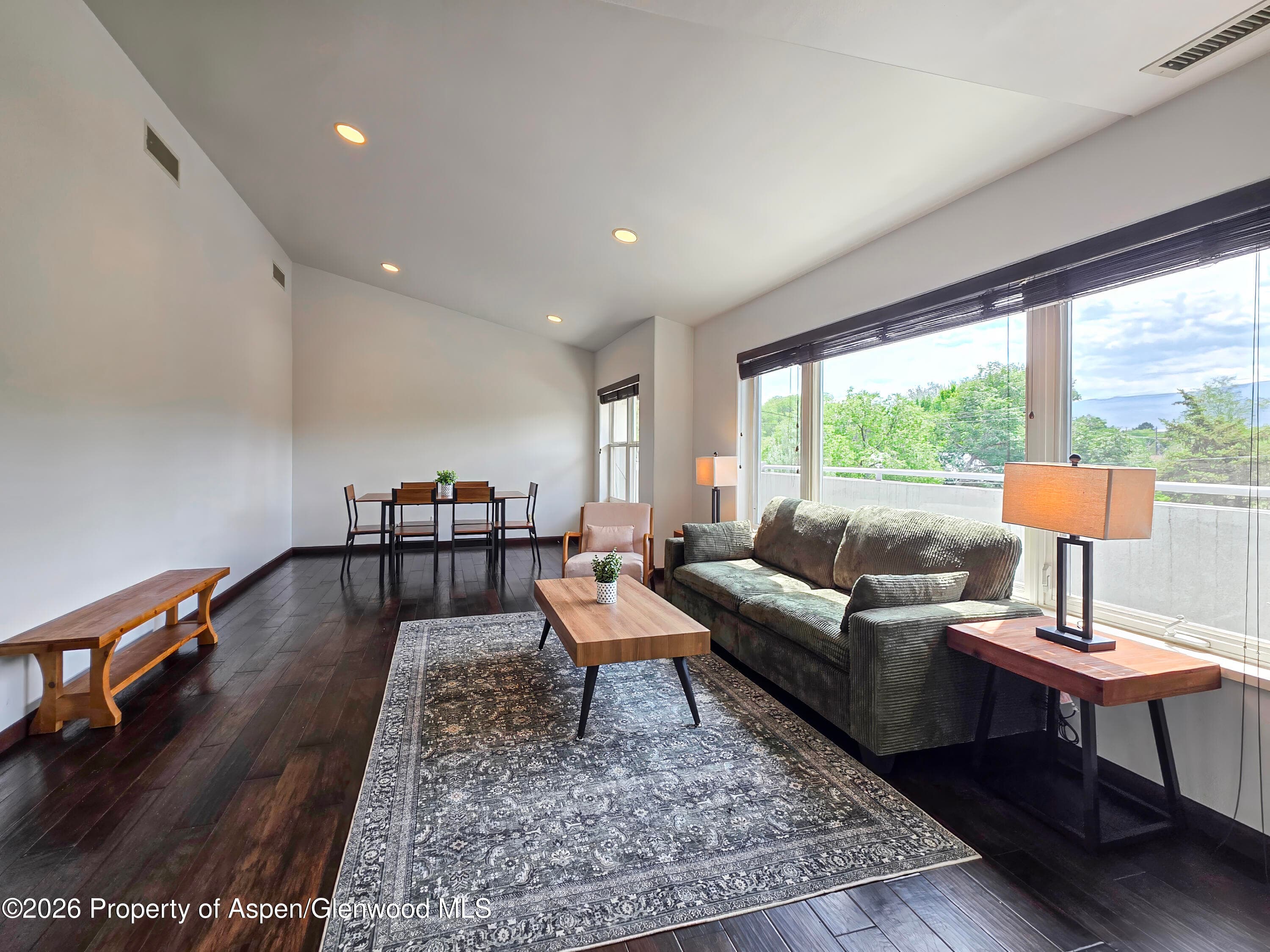 60 S 8th Street 301, Carbondale, CO 81623 - Photo 3