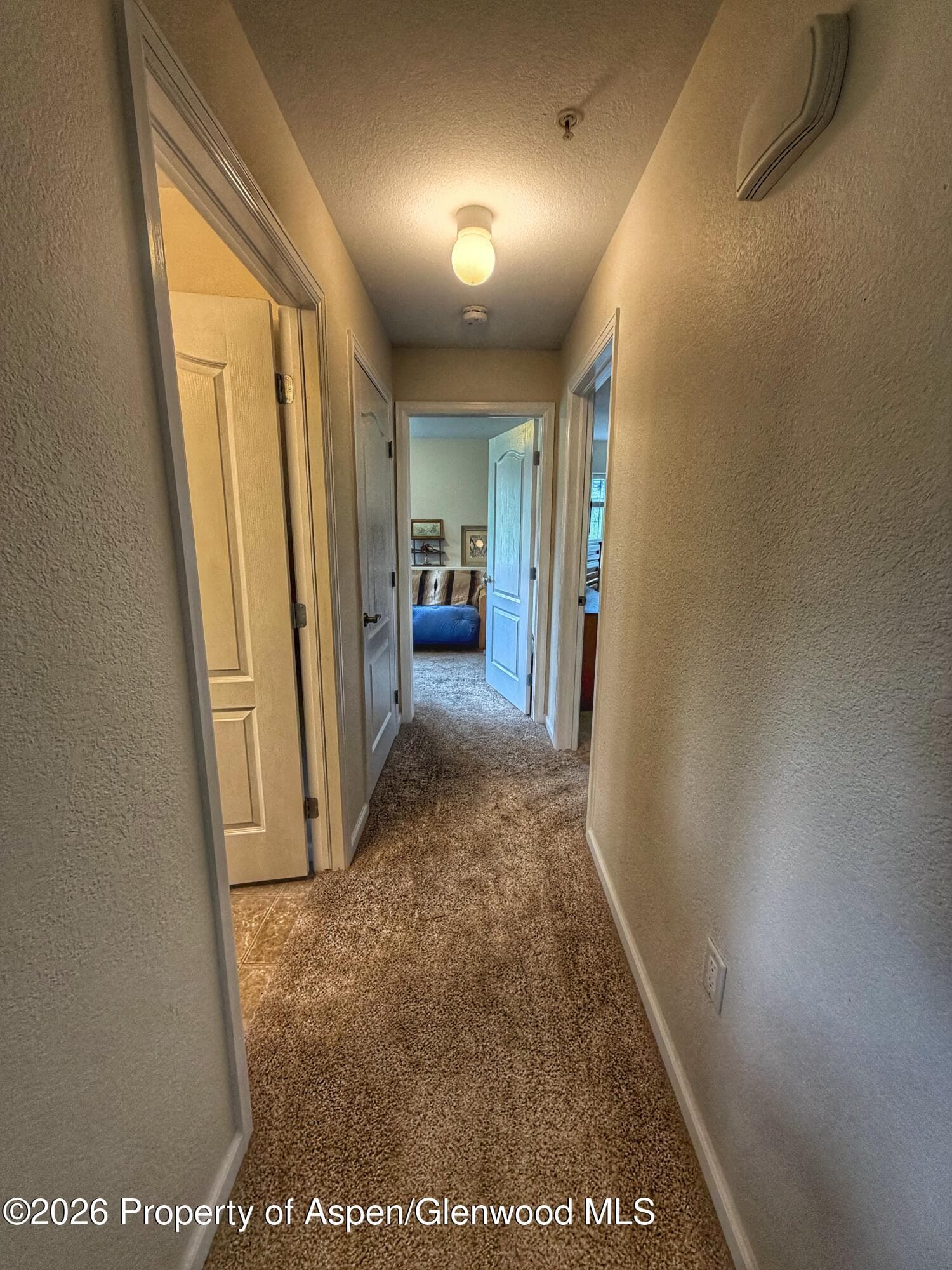 367 River View Drive 1701, New Castle, CO 81647 - Photo 12