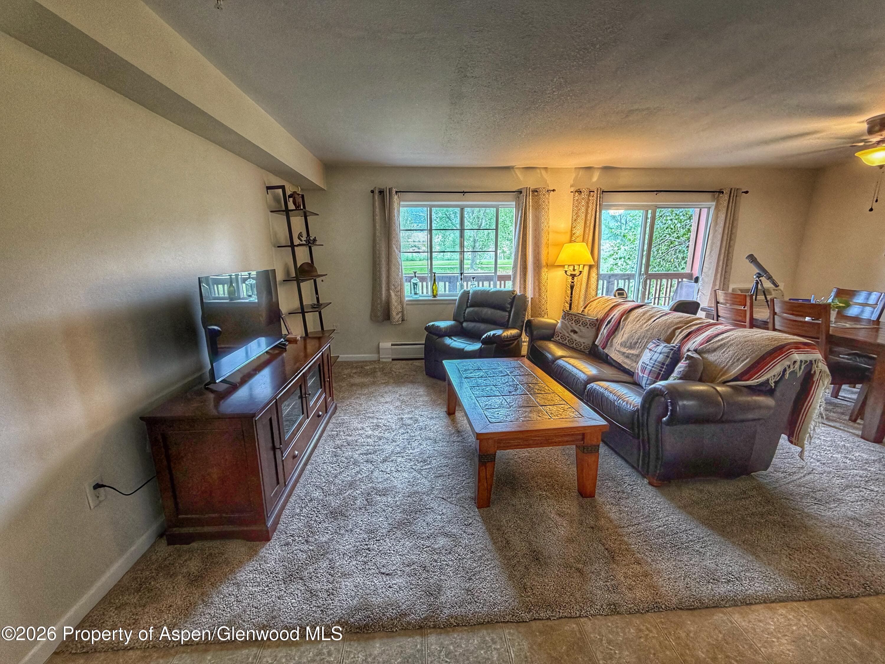 367 River View Drive 1701, New Castle, CO 81647 - Photo 4
