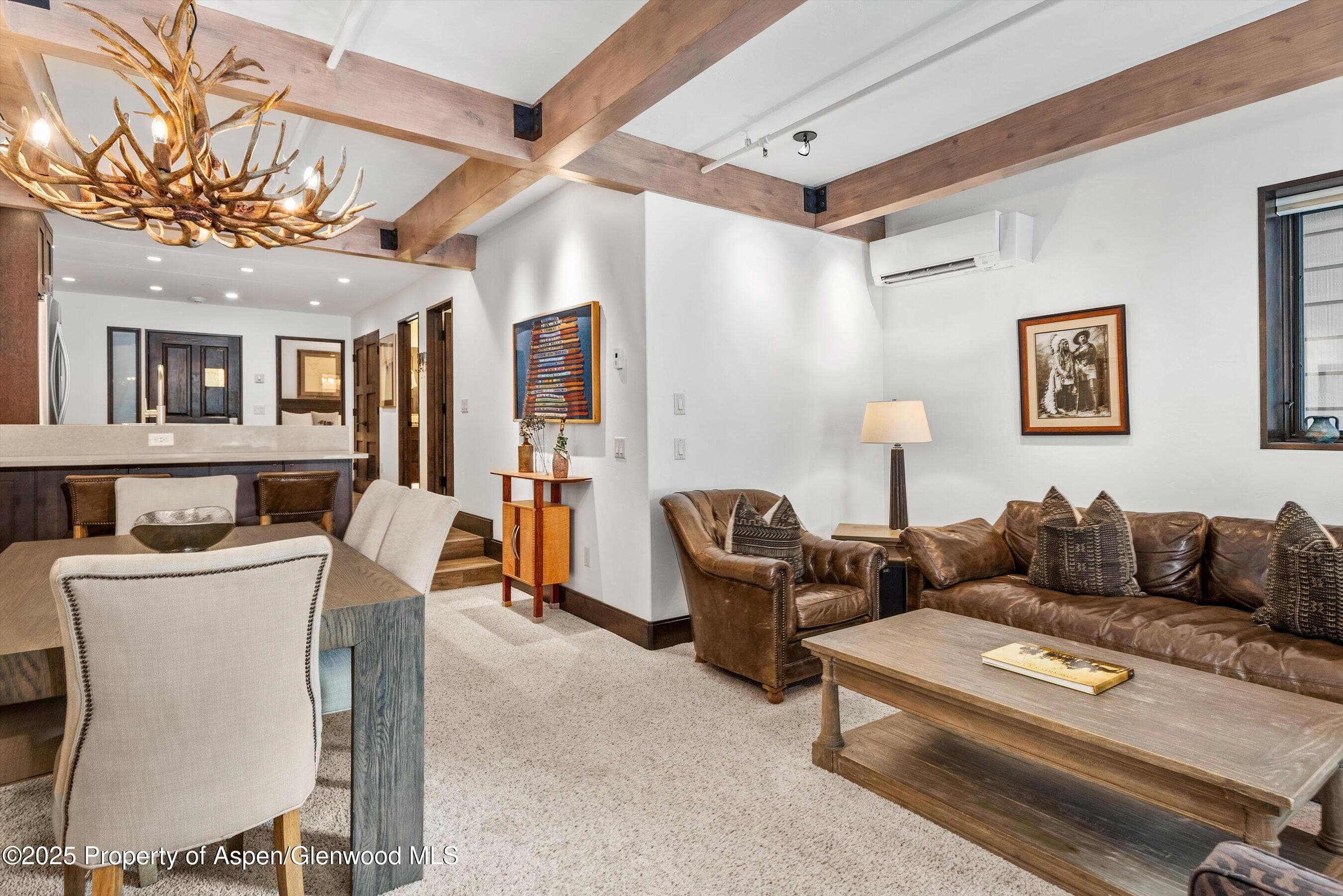 610 S West End Street E103, Aspen, CO 81611 - Photo 6