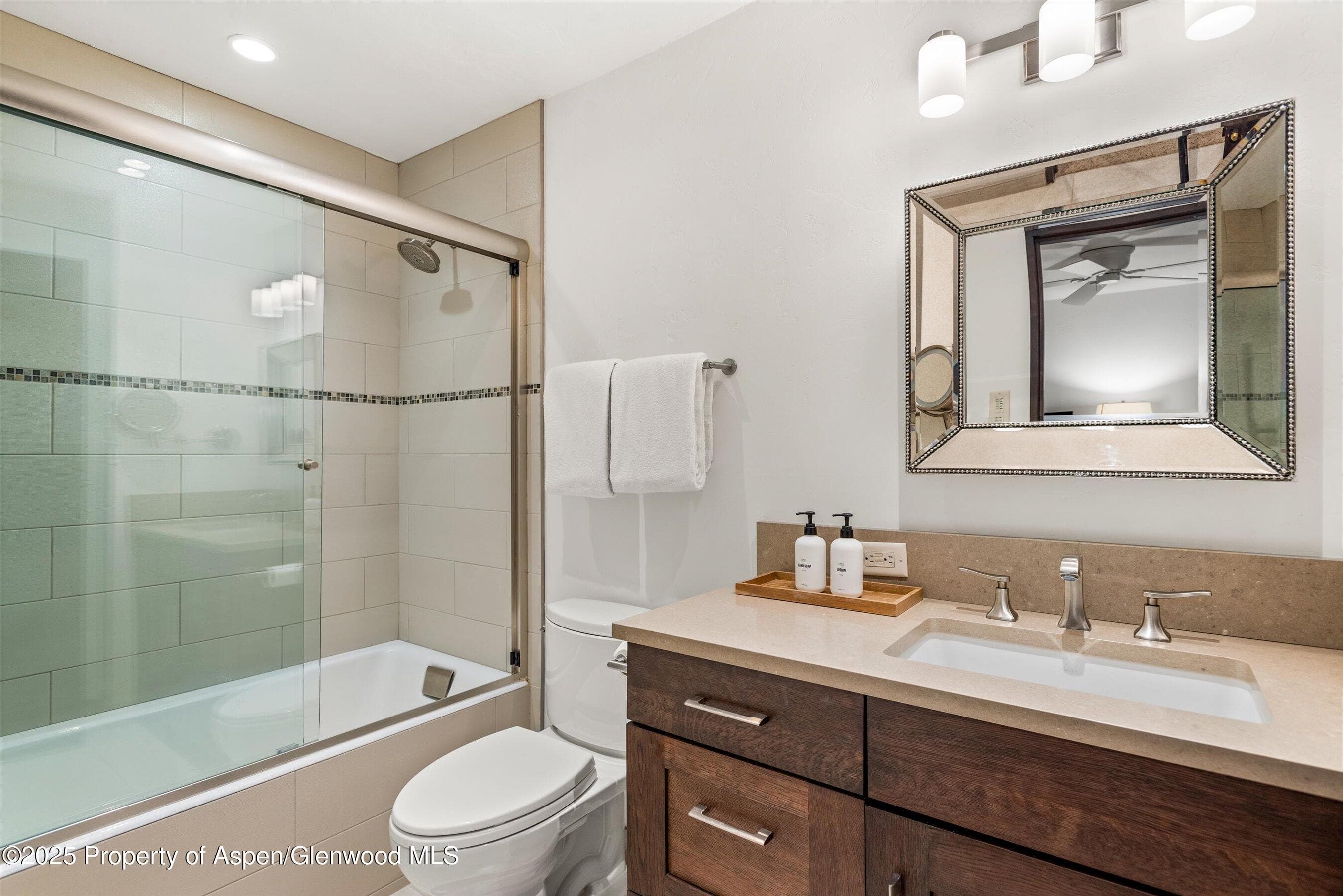 610 S West End Street E103, Aspen, CO 81611 - Photo 19