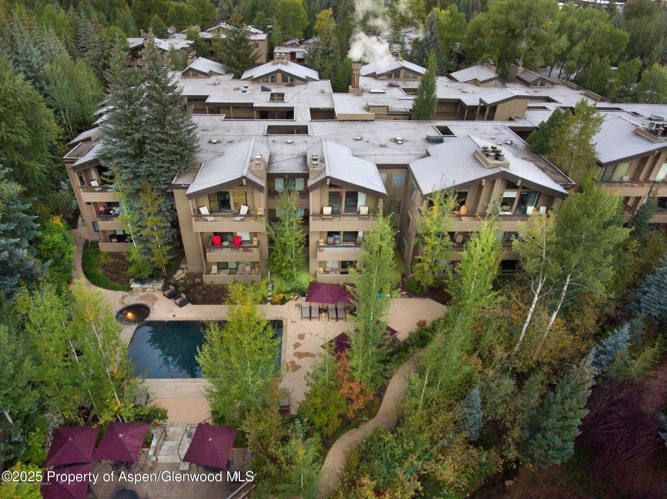 610 S West End Street E103, Aspen, CO 81611 - Photo 22