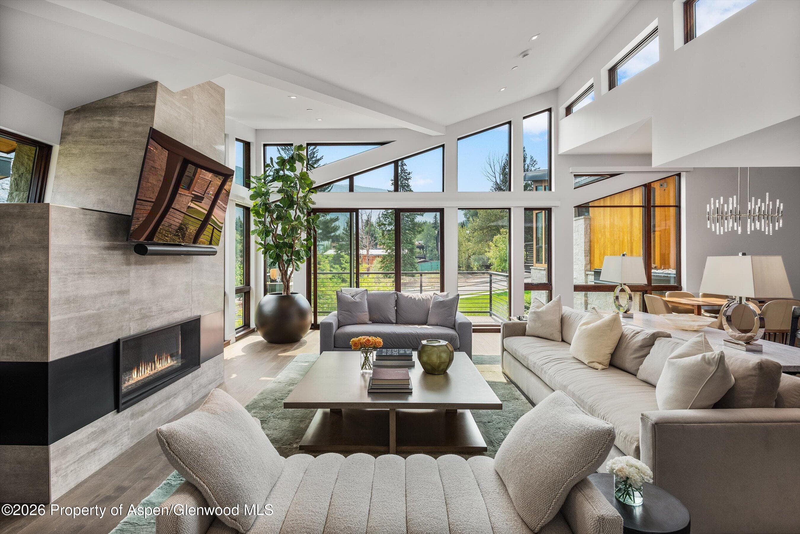 755 S Aspen Street A, Aspen, CO 81611