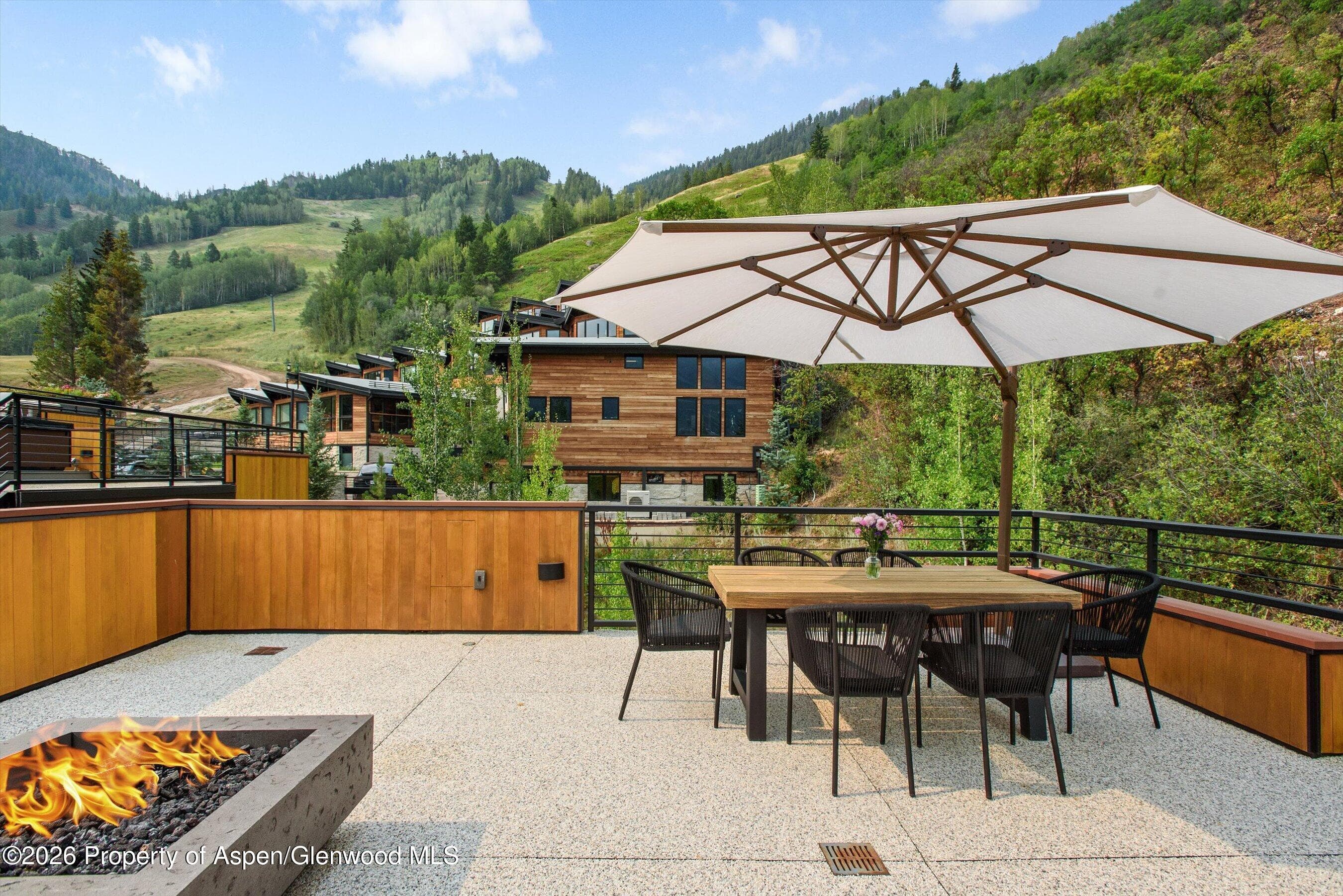 755 S Aspen Street A, Aspen, CO 81611 - Photo 2