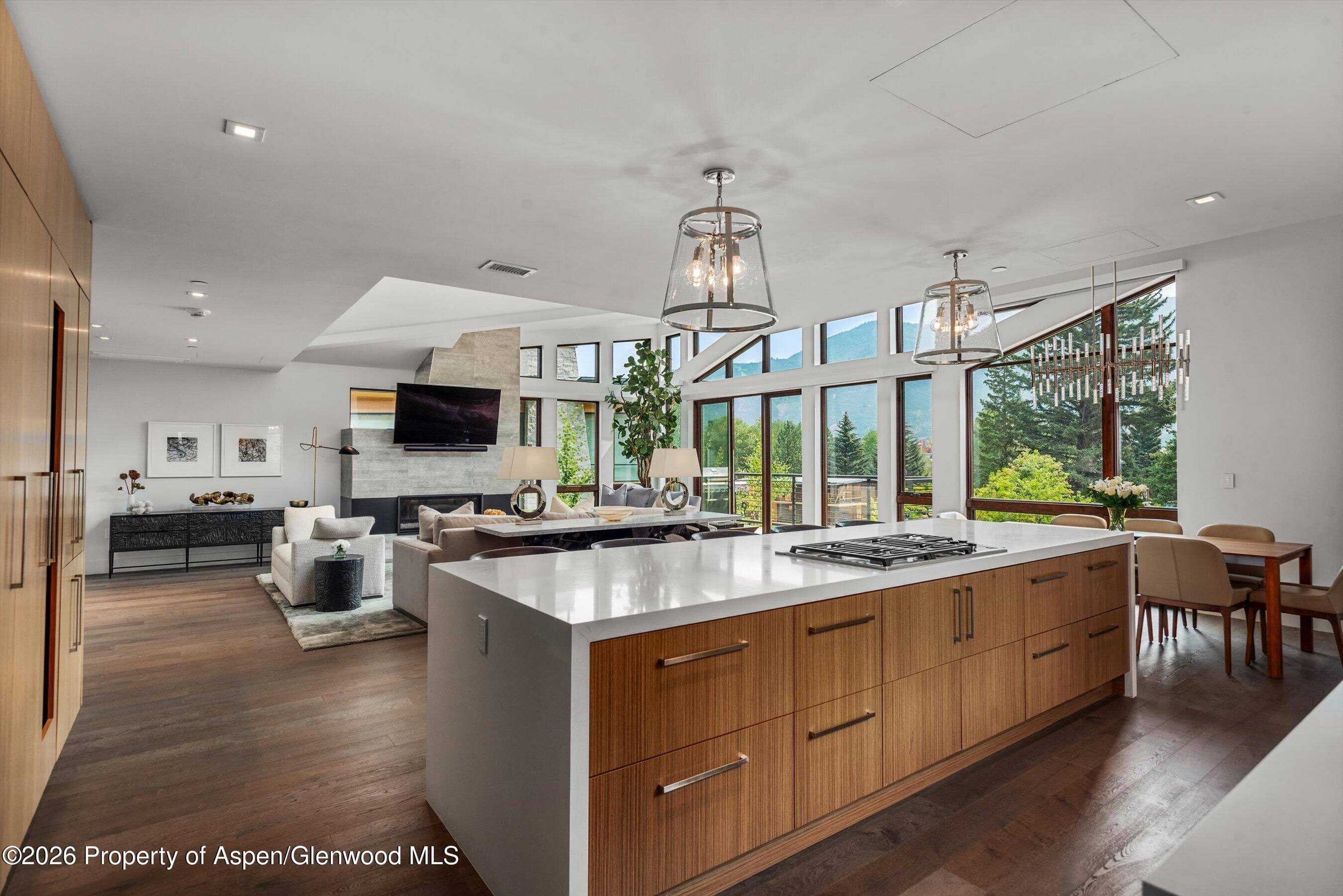 755 S Aspen Street A, Aspen, CO 81611 - Photo 8