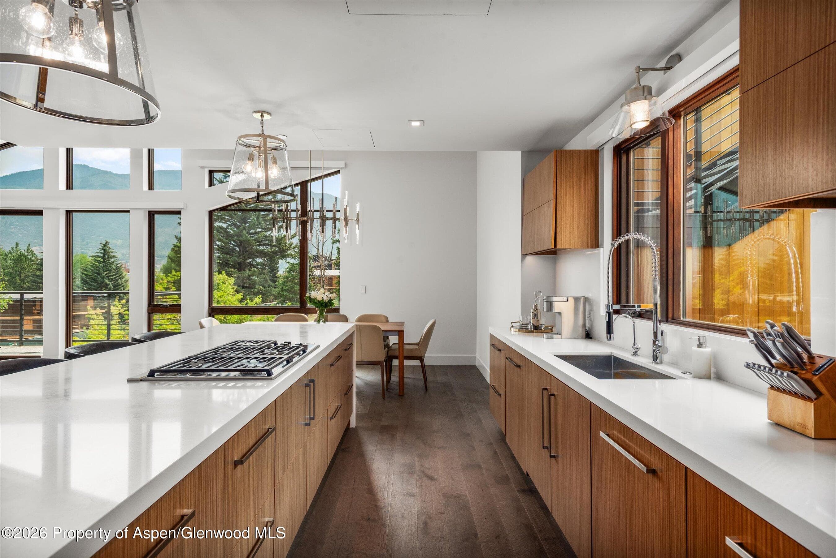 755 S Aspen Street A, Aspen, CO 81611 - Photo 9