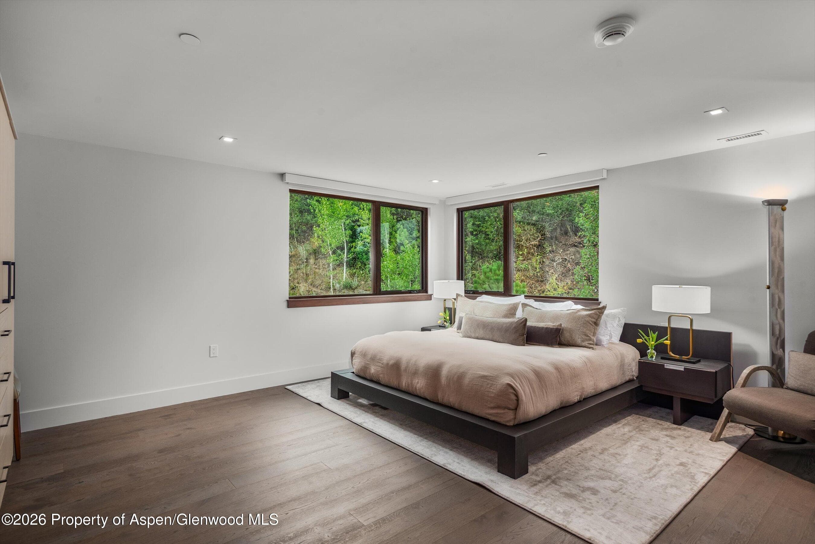 755 S Aspen Street A, Aspen, CO 81611 - Photo 18