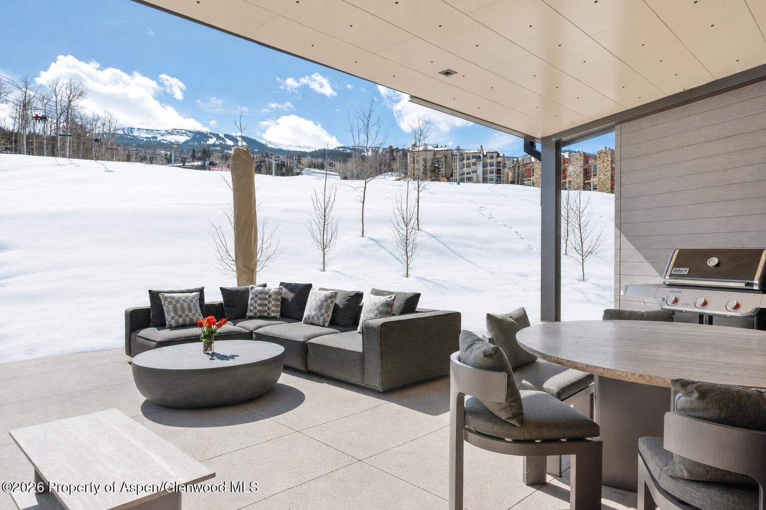 180 Wood Road 203, Snowmass Village, CO 81615 - Photo 12