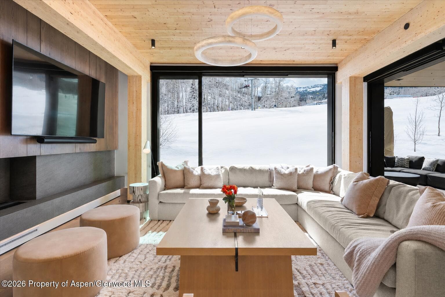 180 Wood Road 203, Snowmass Village, CO 81615 - Photo 2
