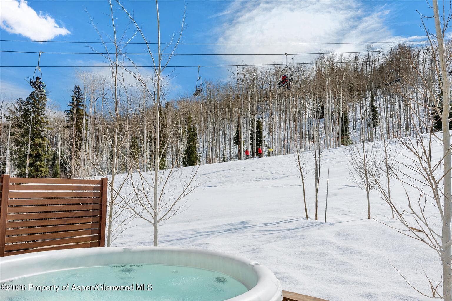 180 Wood Road 203, Snowmass Village, CO 81615 - Photo 17