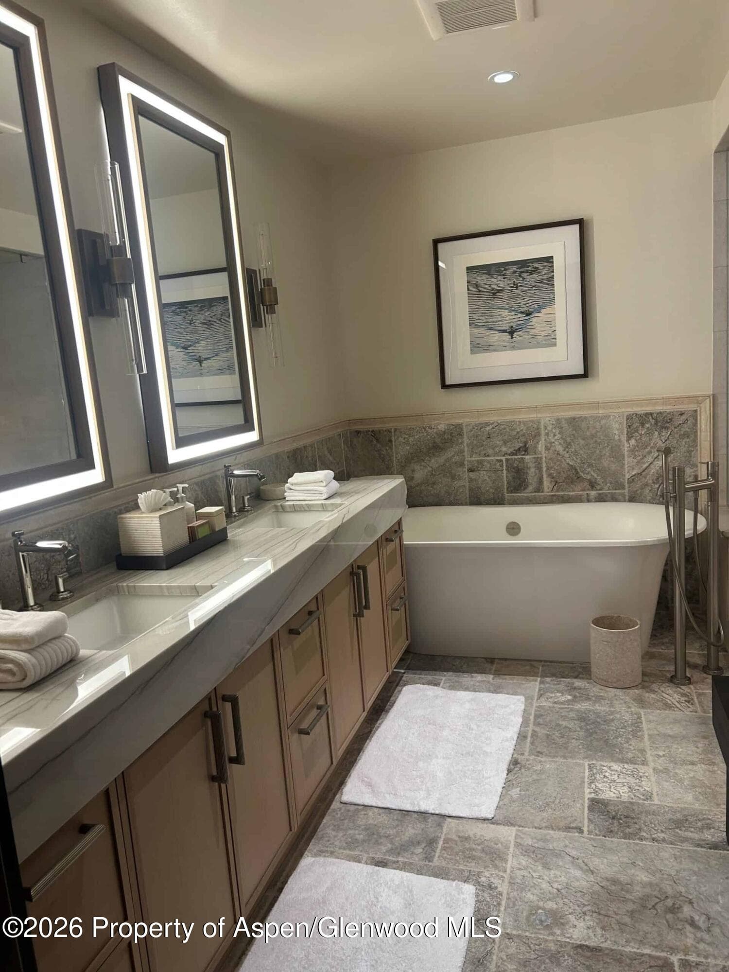 411 S Monarch Street G4, Aspen, CO 81611 - Photo 5