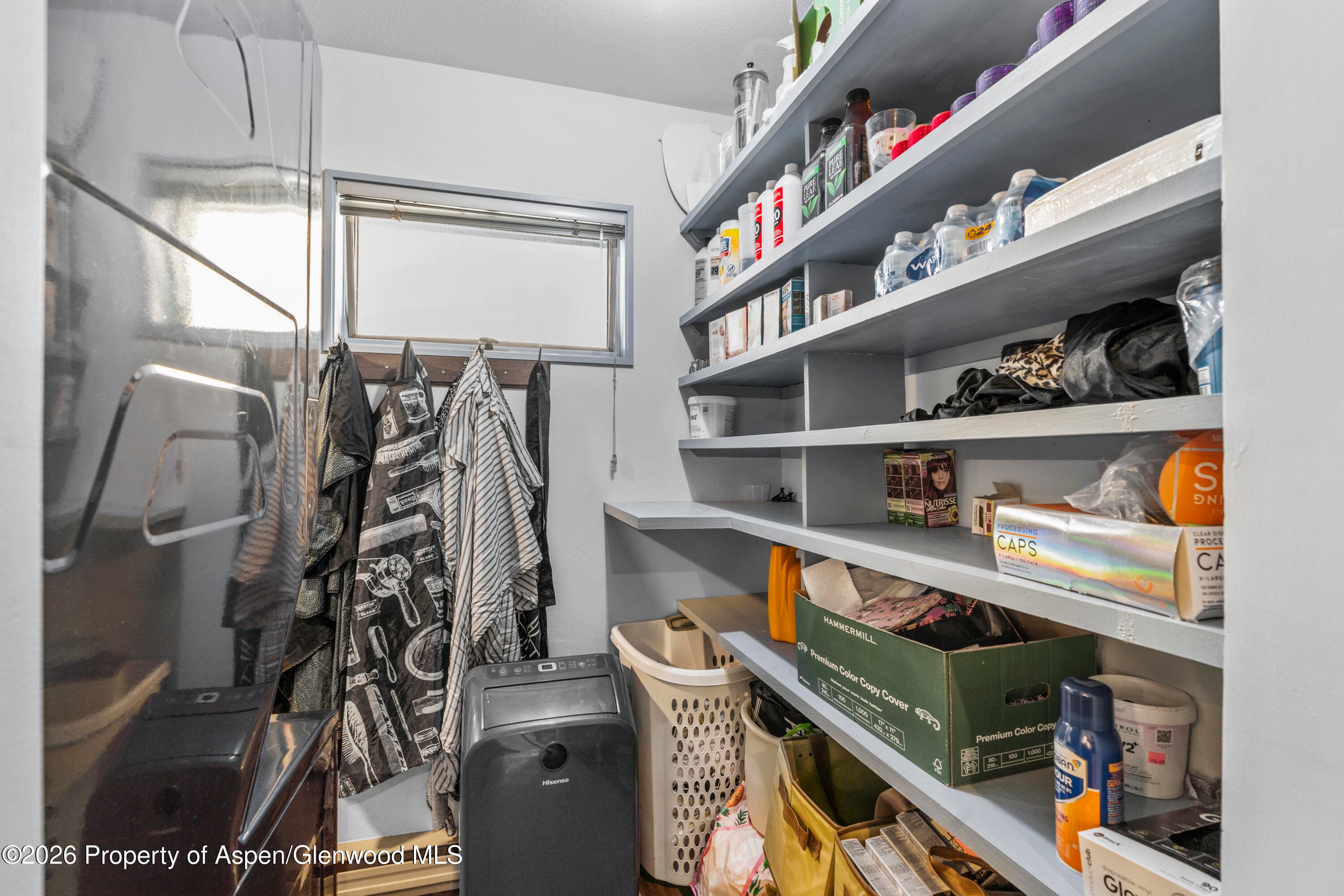 175 Midland Avenue 6, Basalt, CO 81621 - Photo 9