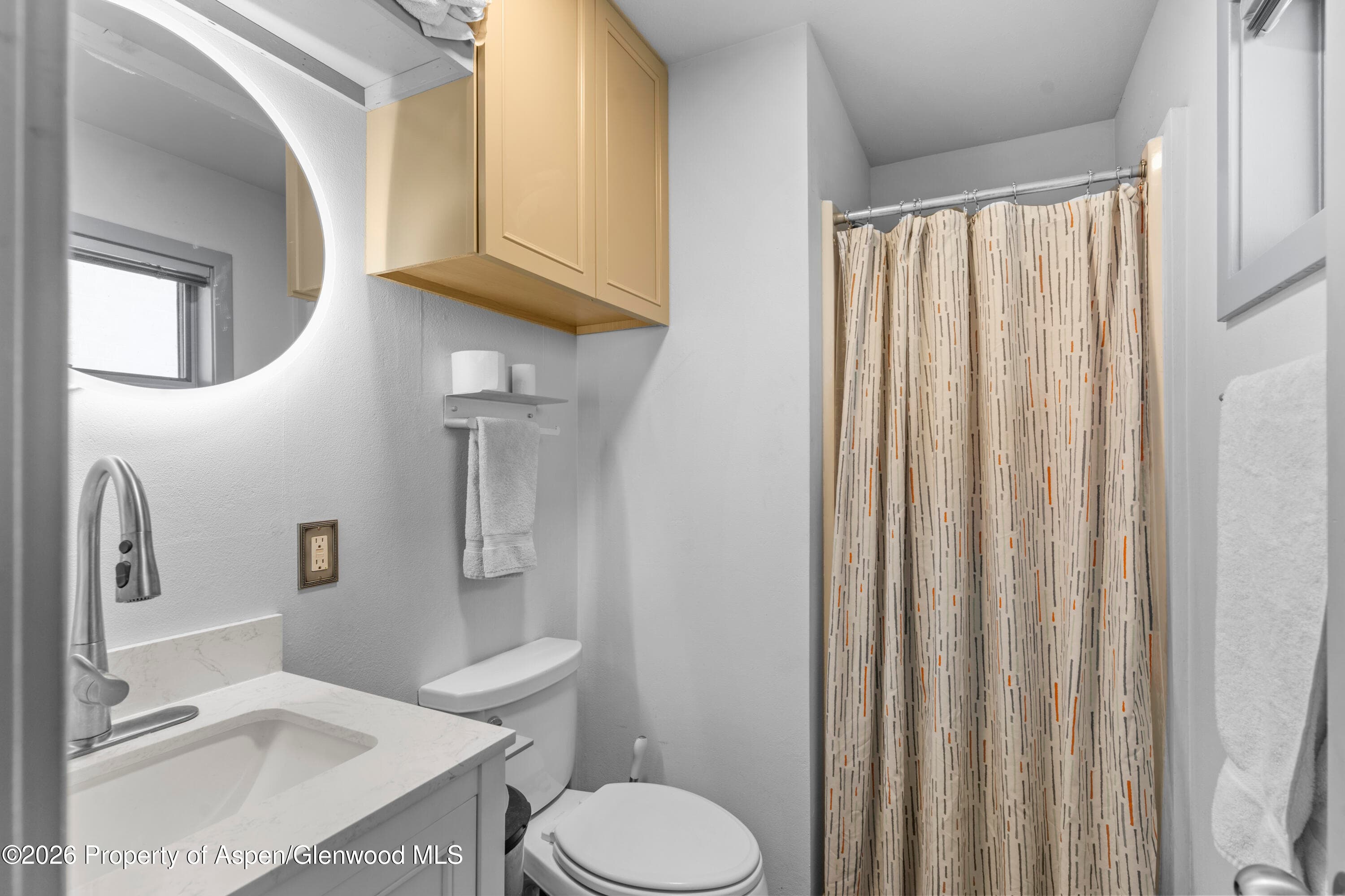 175 Midland Avenue 6, Basalt, CO 81621 - Photo 10
