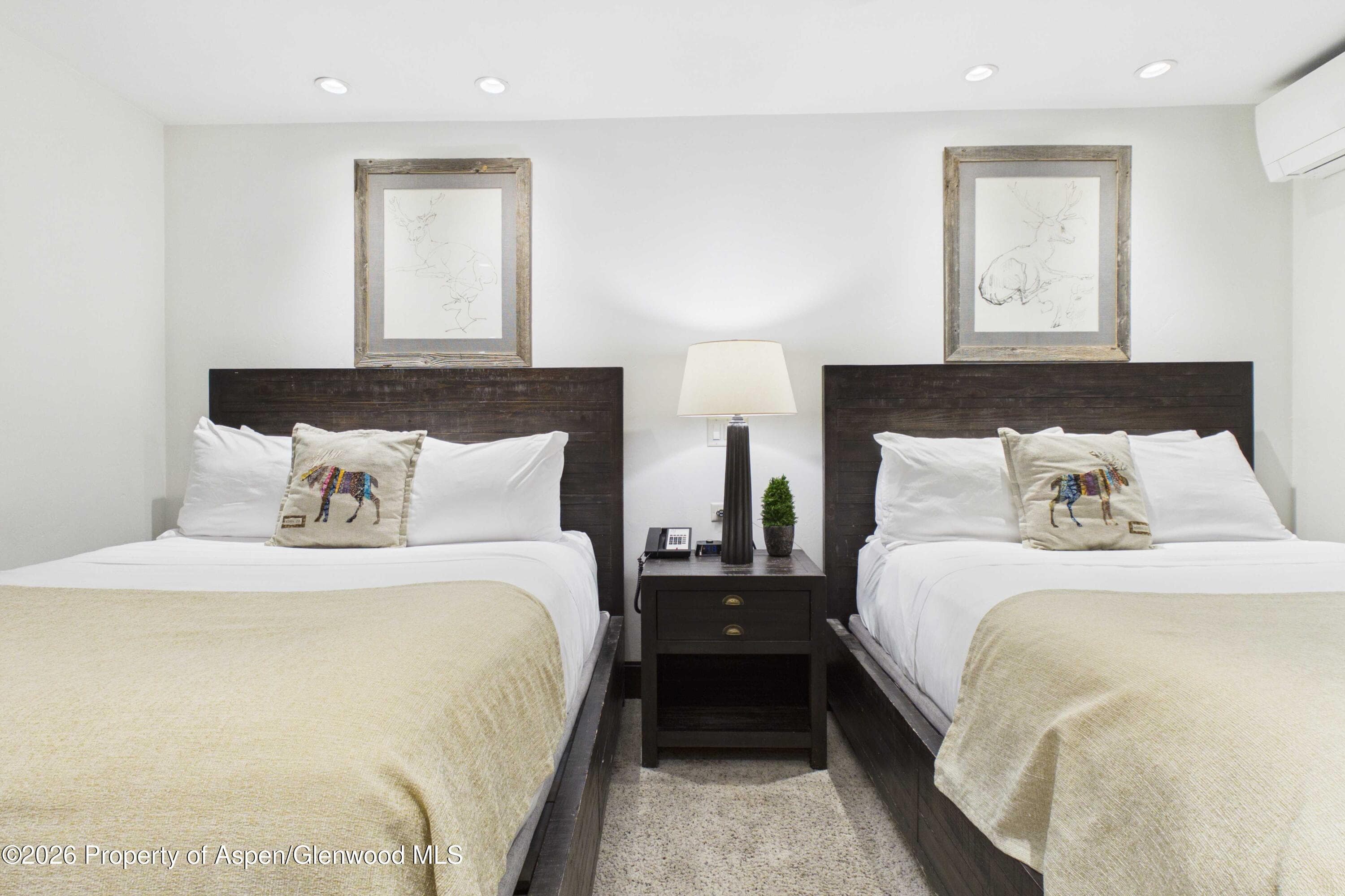 610 S West End Street E103, Aspen, CO 81611 - Photo 17