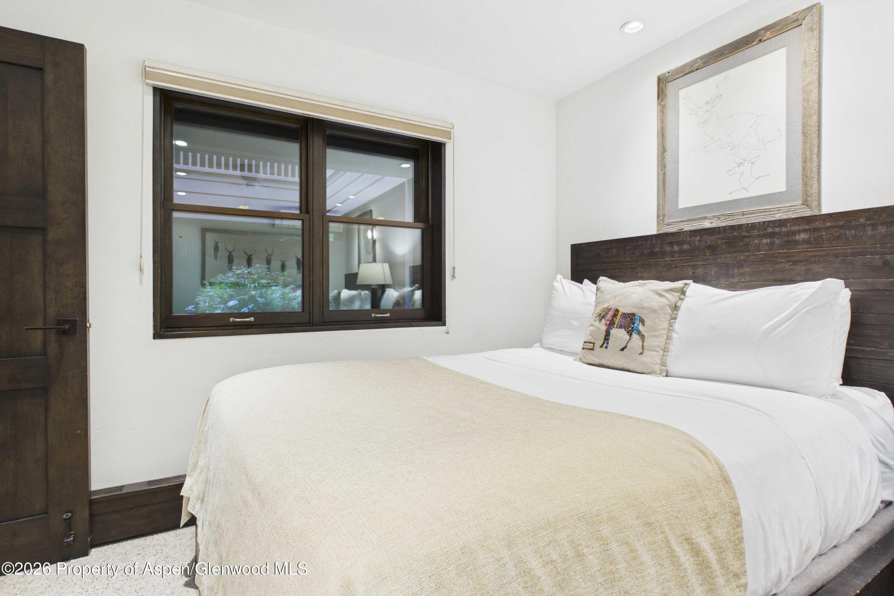 610 S West End Street E103, Aspen, CO 81611 - Photo 18