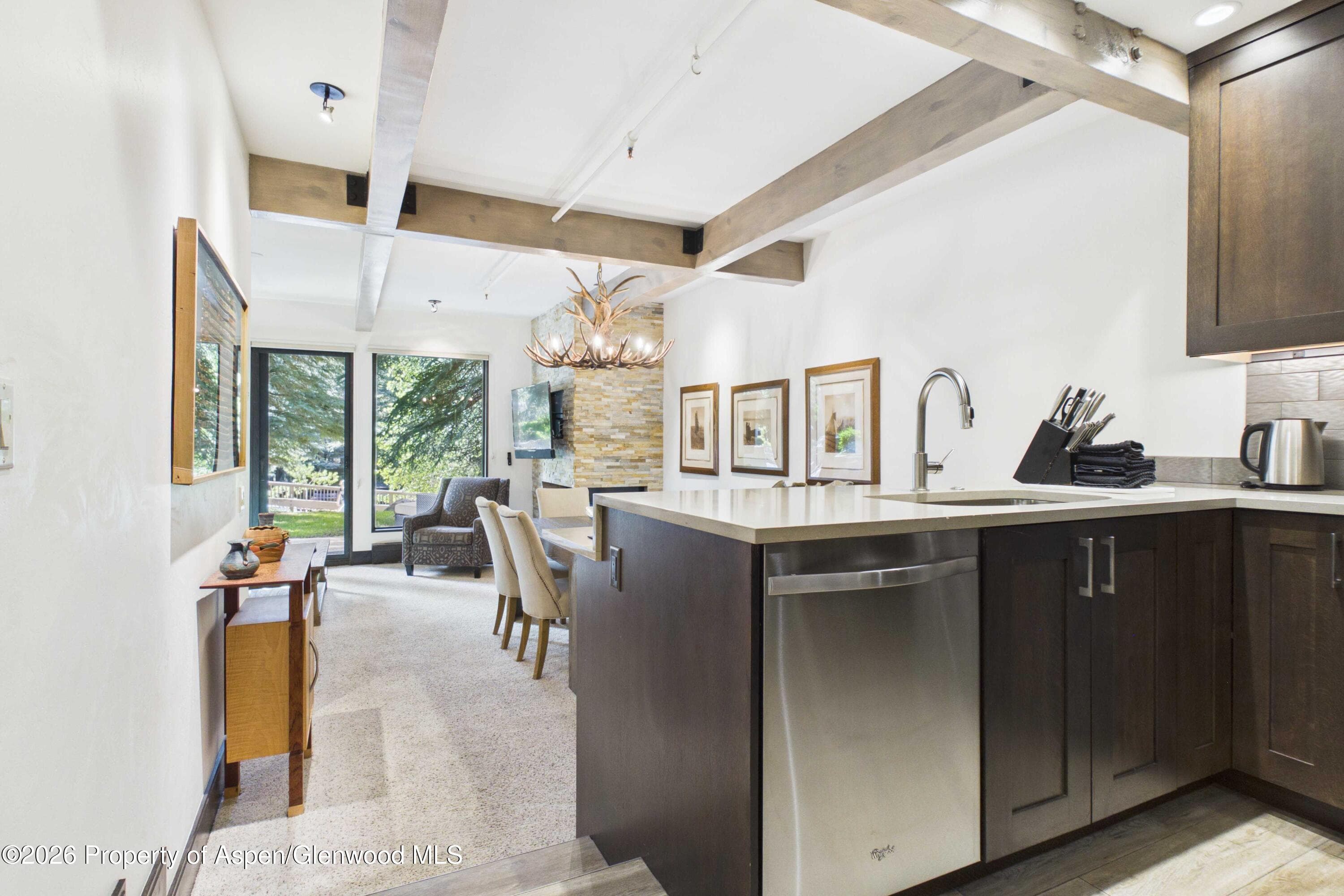610 S West End Street E103, Aspen, CO 81611