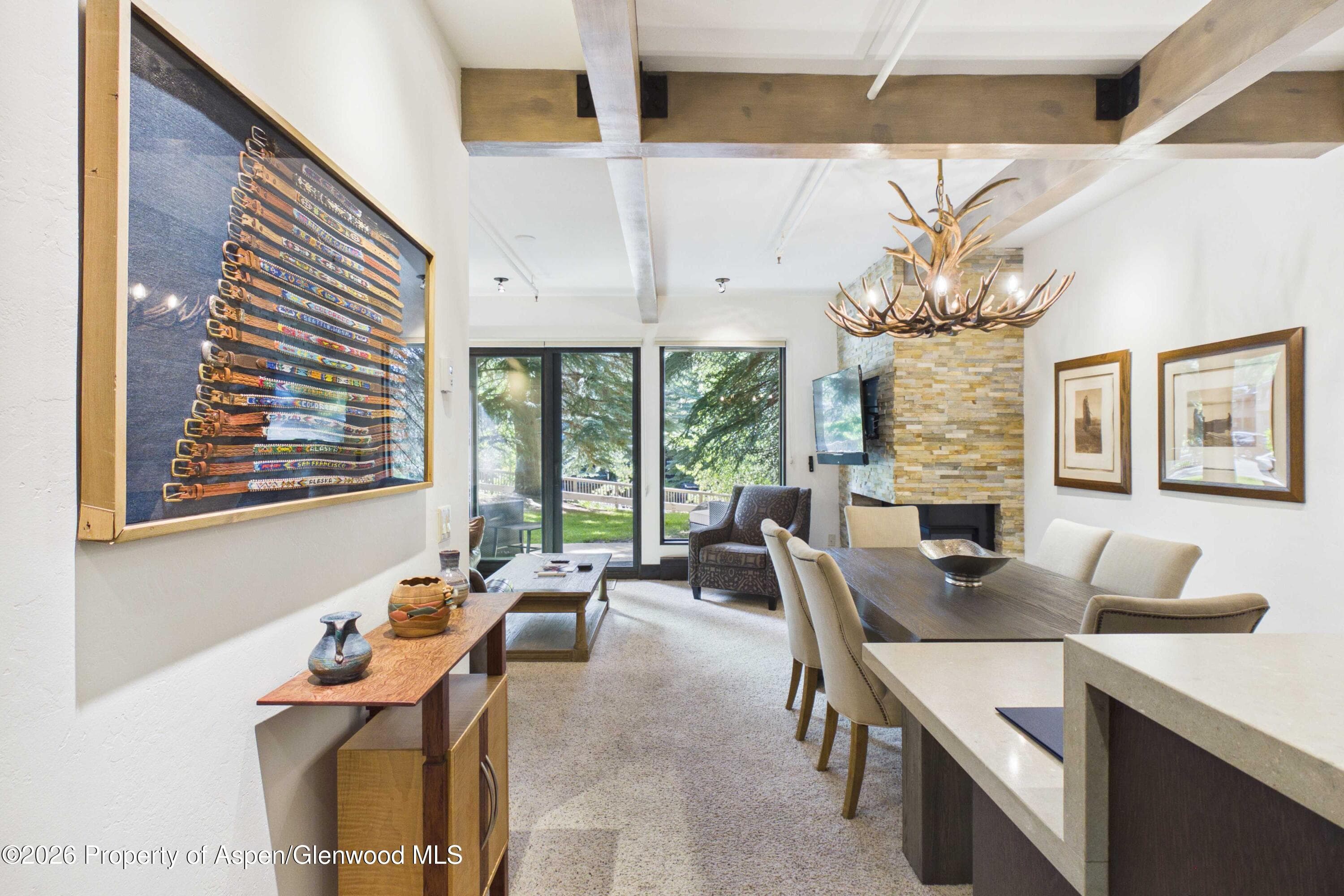 610 S West End Street E103, Aspen, CO 81611 - Photo 2