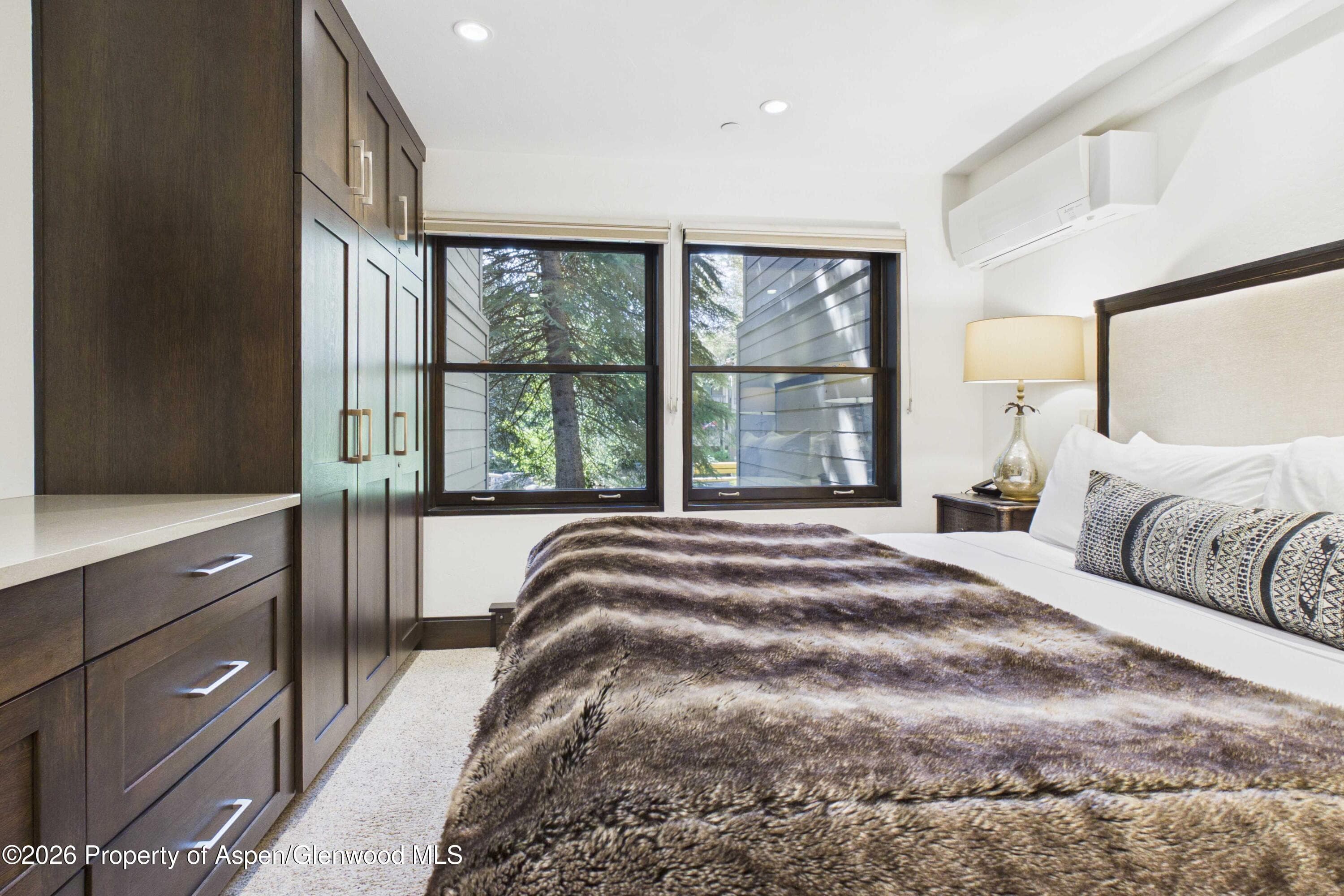 610 S West End Street E103, Aspen, CO 81611 - Photo 13