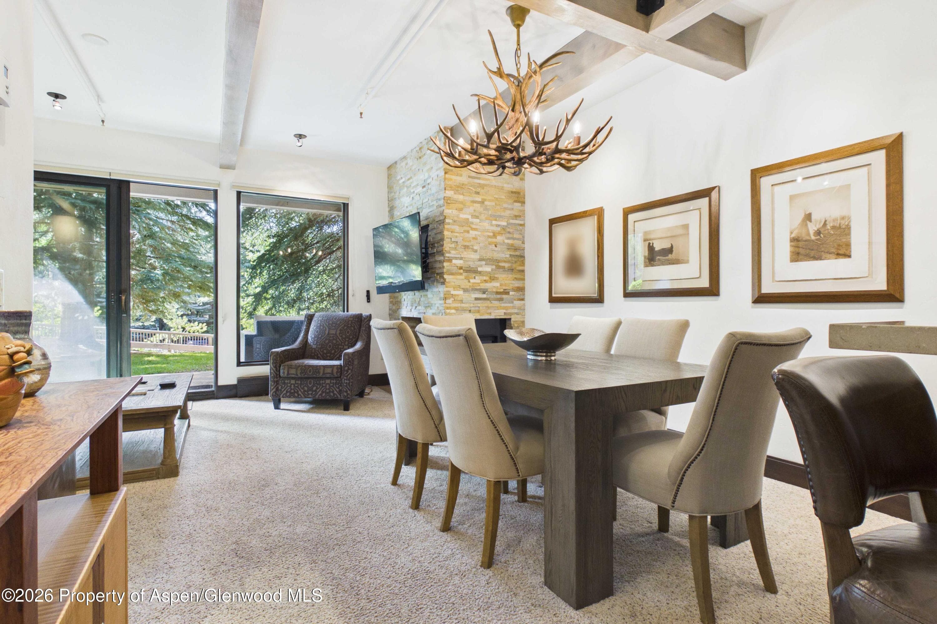 610 S West End Street E103, Aspen, CO 81611 - Photo 3