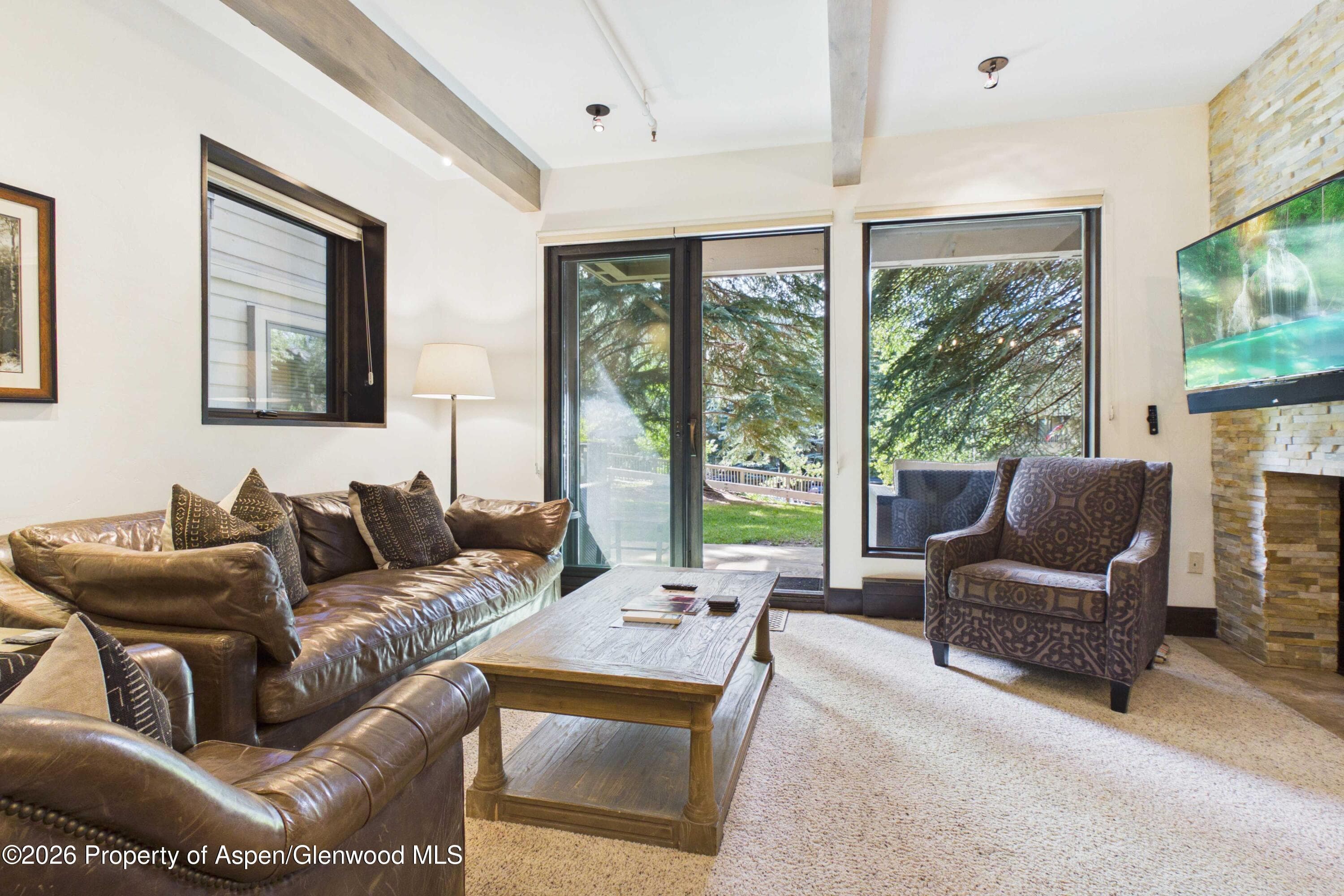 610 S West End Street E103, Aspen, CO 81611 - Photo 4
