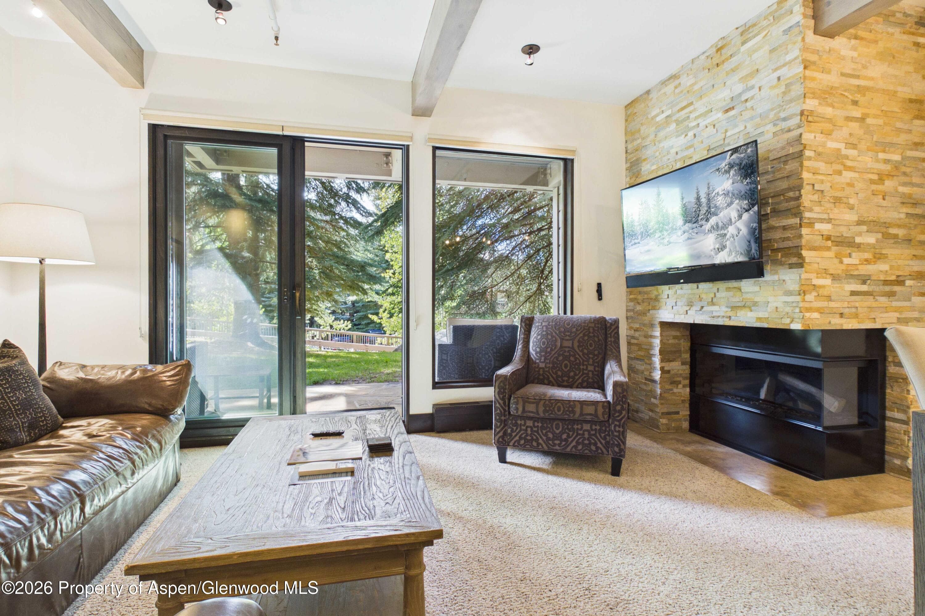 610 S West End Street E103, Aspen, CO 81611 - Photo 5