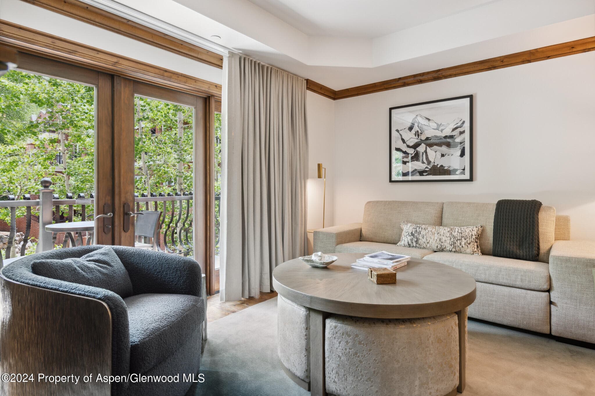 415 E Dean St, Unit 18, Week 32, Aspen, CO 81611 - Photo 3