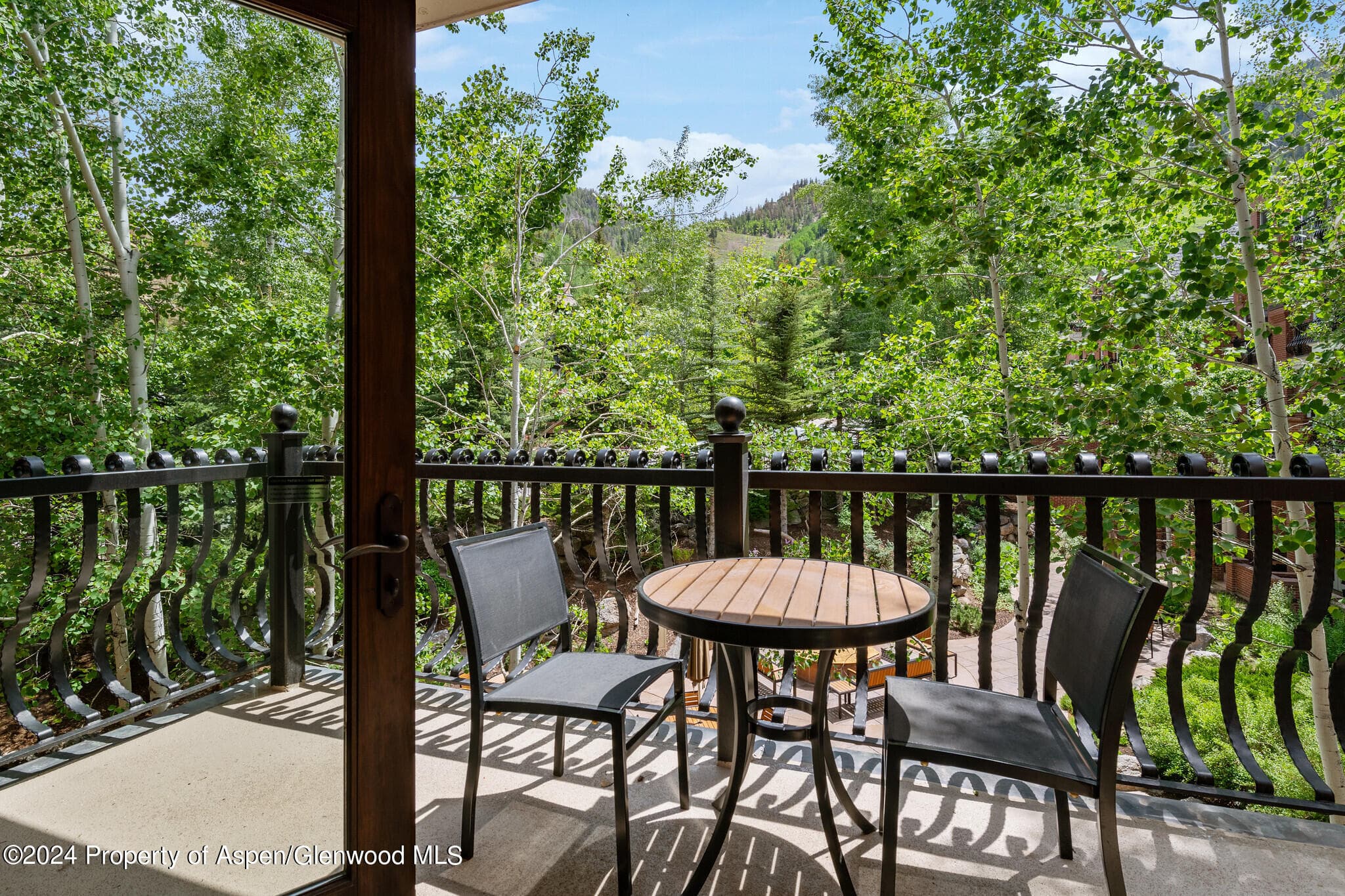 415 E Dean St, Unit 18, Week 32, Aspen, CO 81611 - Photo 6