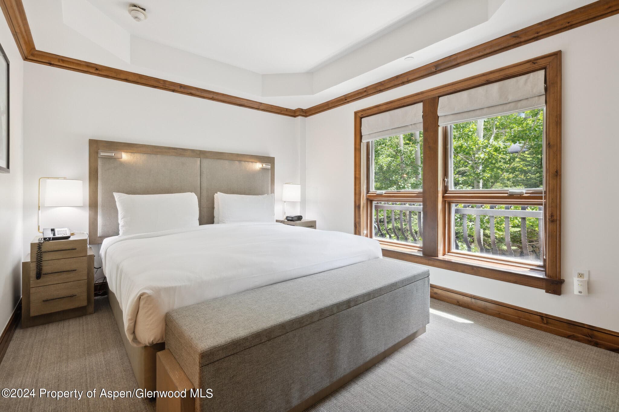 415 E Dean St, Unit 18, Week 32, Aspen, CO 81611 - Photo 11