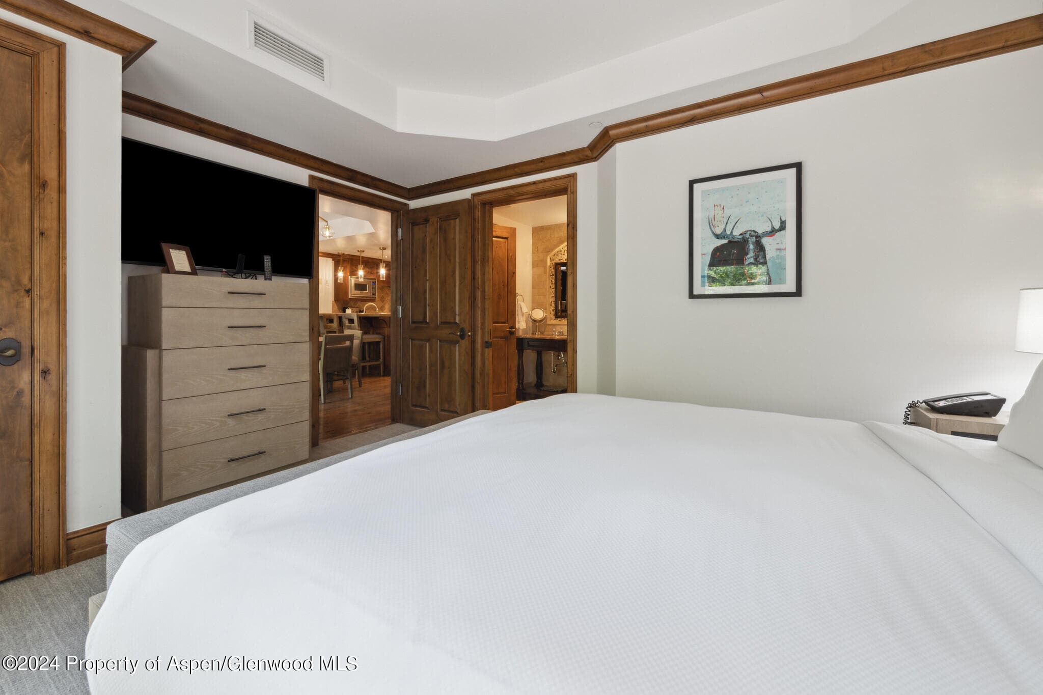 415 E Dean St, Unit 18, Week 32, Aspen, CO 81611 - Photo 13