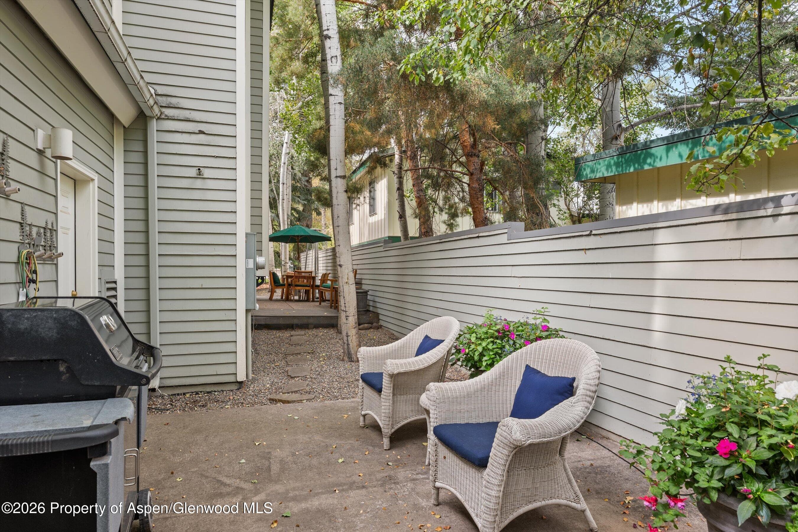 620 W Hallam Street, Aspen, CO 81611 - Photo 22