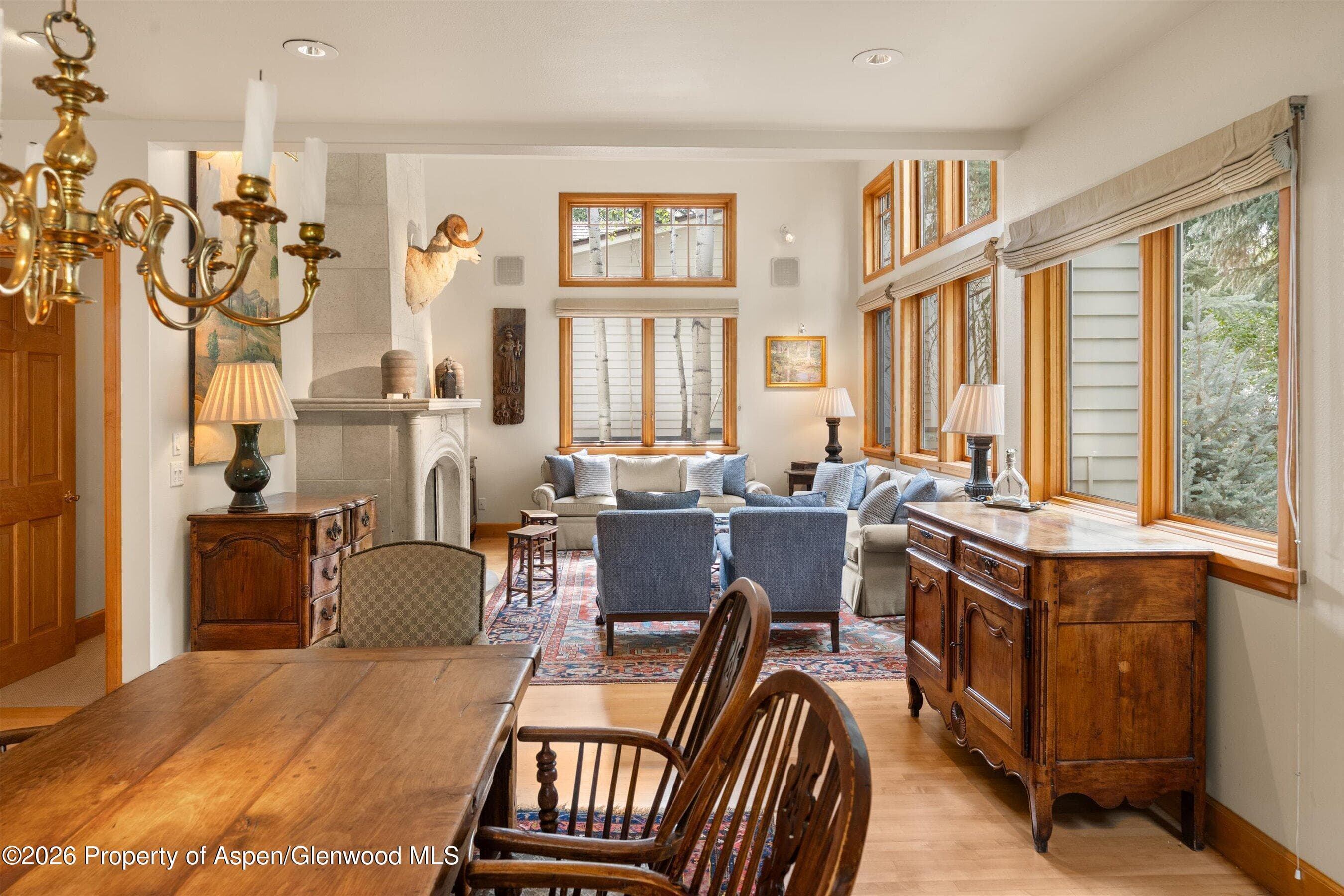 620 W Hallam Street, Aspen, CO 81611 - Photo 6