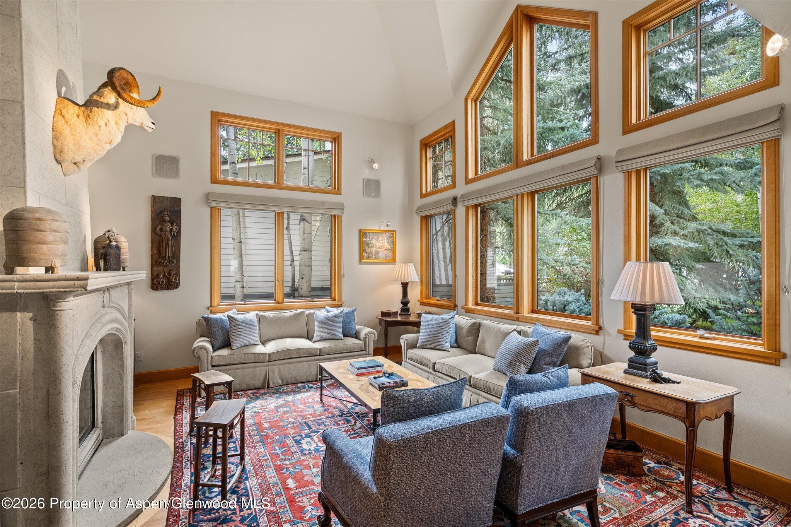620 W Hallam Street, Aspen, CO 81611 - Photo 3
