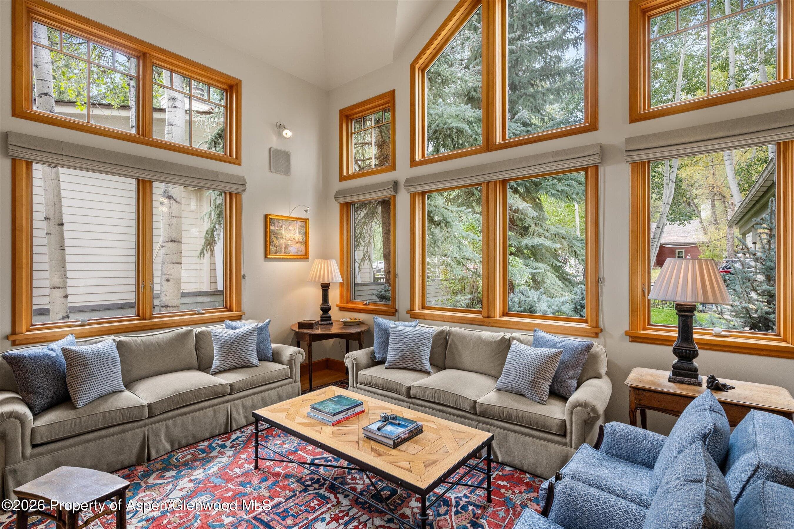 620 W Hallam Street, Aspen, CO 81611 - Photo 8