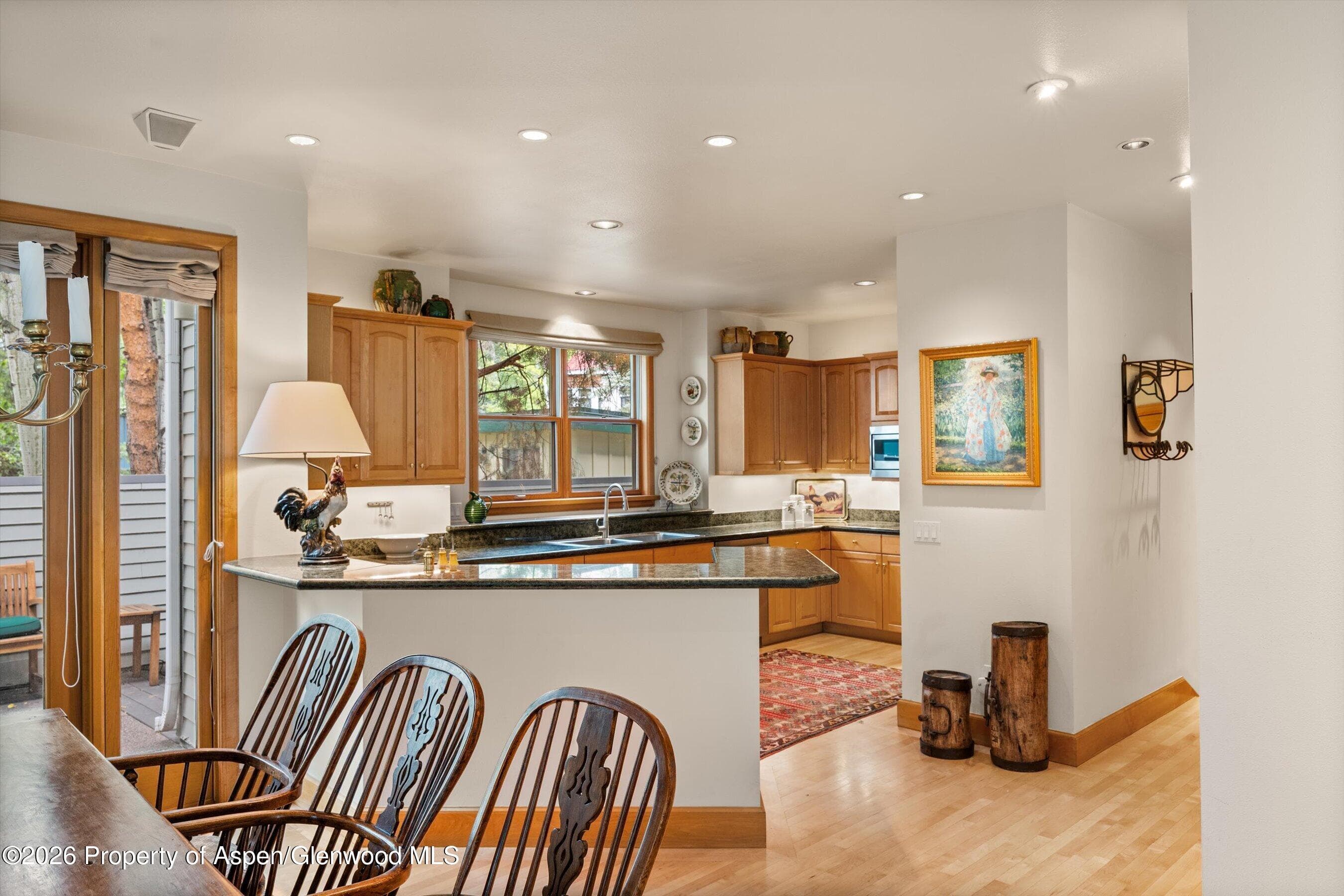 620 W Hallam Street, Aspen, CO 81611 - Photo 12