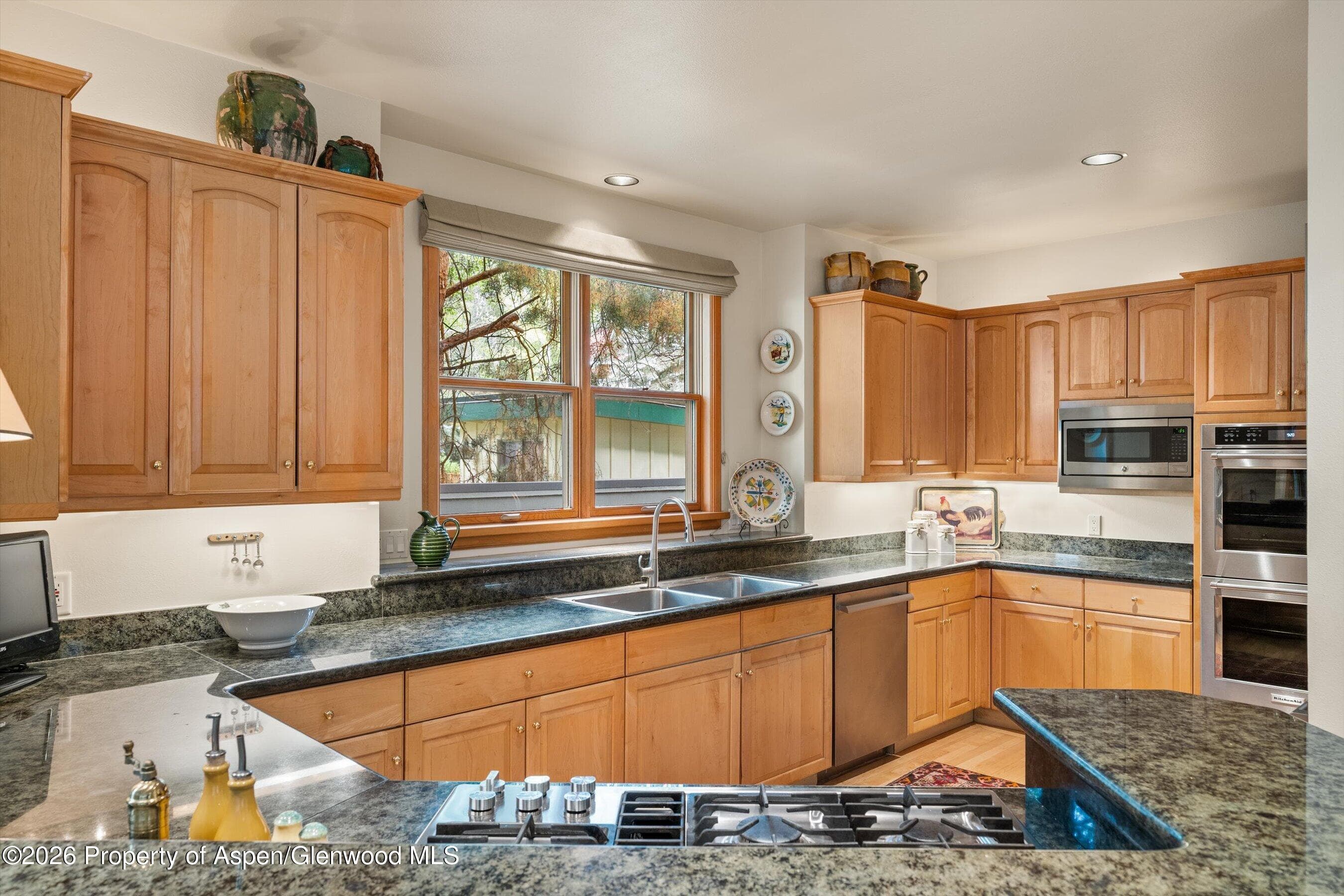 620 W Hallam Street, Aspen, CO 81611 - Photo 13