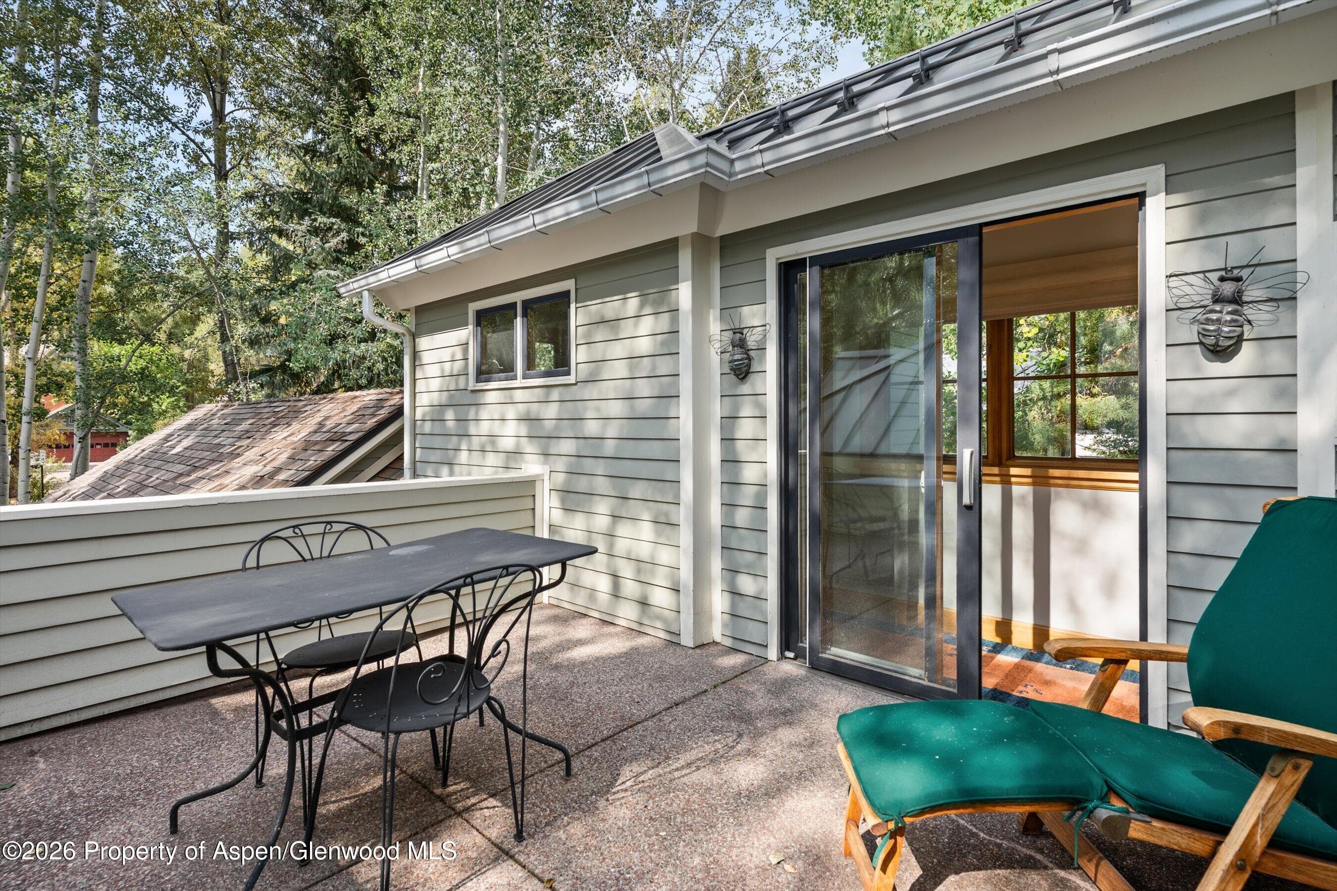 620 W Hallam Street, Aspen, CO 81611 - Photo 33