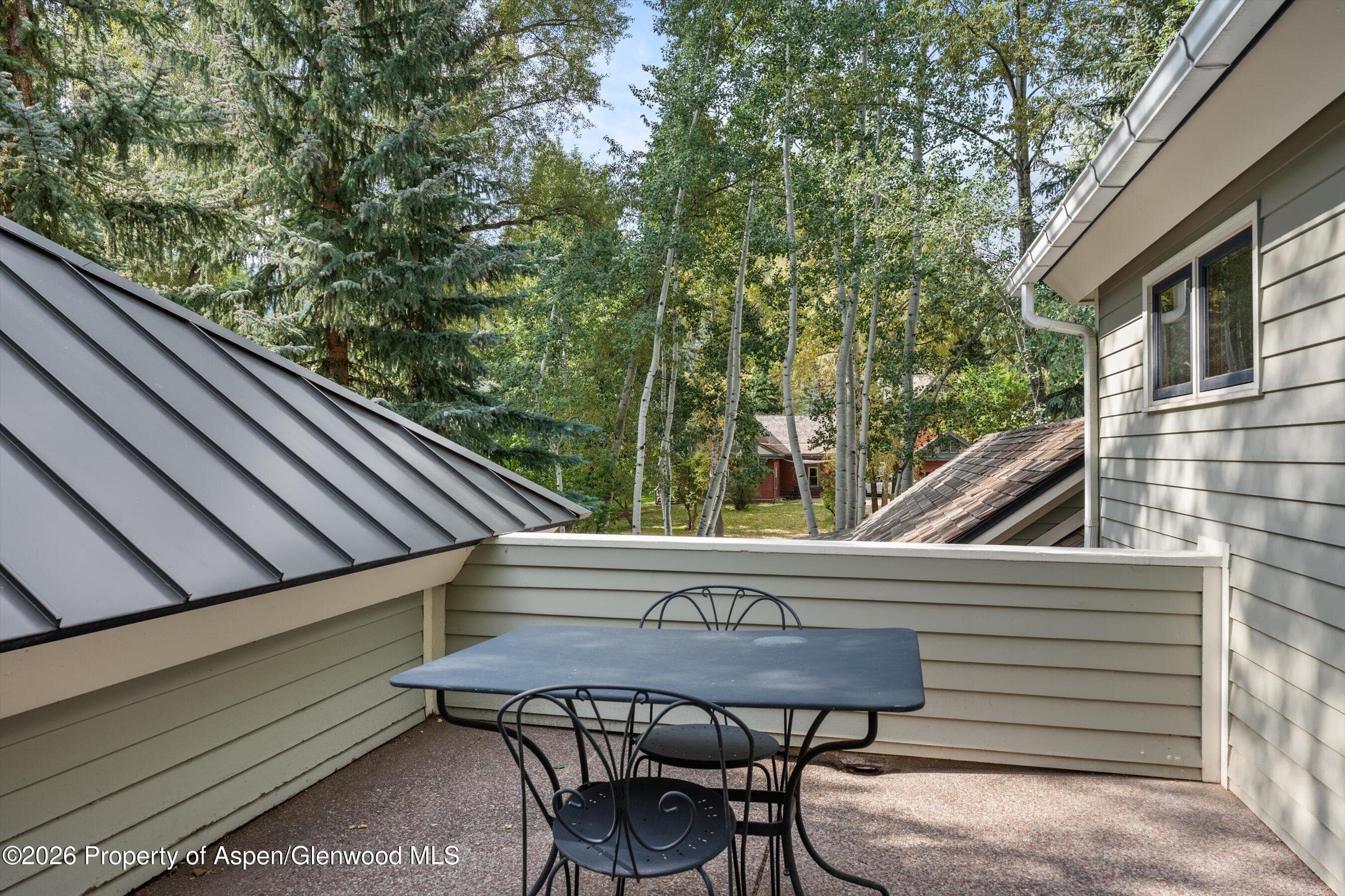 620 W Hallam Street, Aspen, CO 81611 - Photo 34