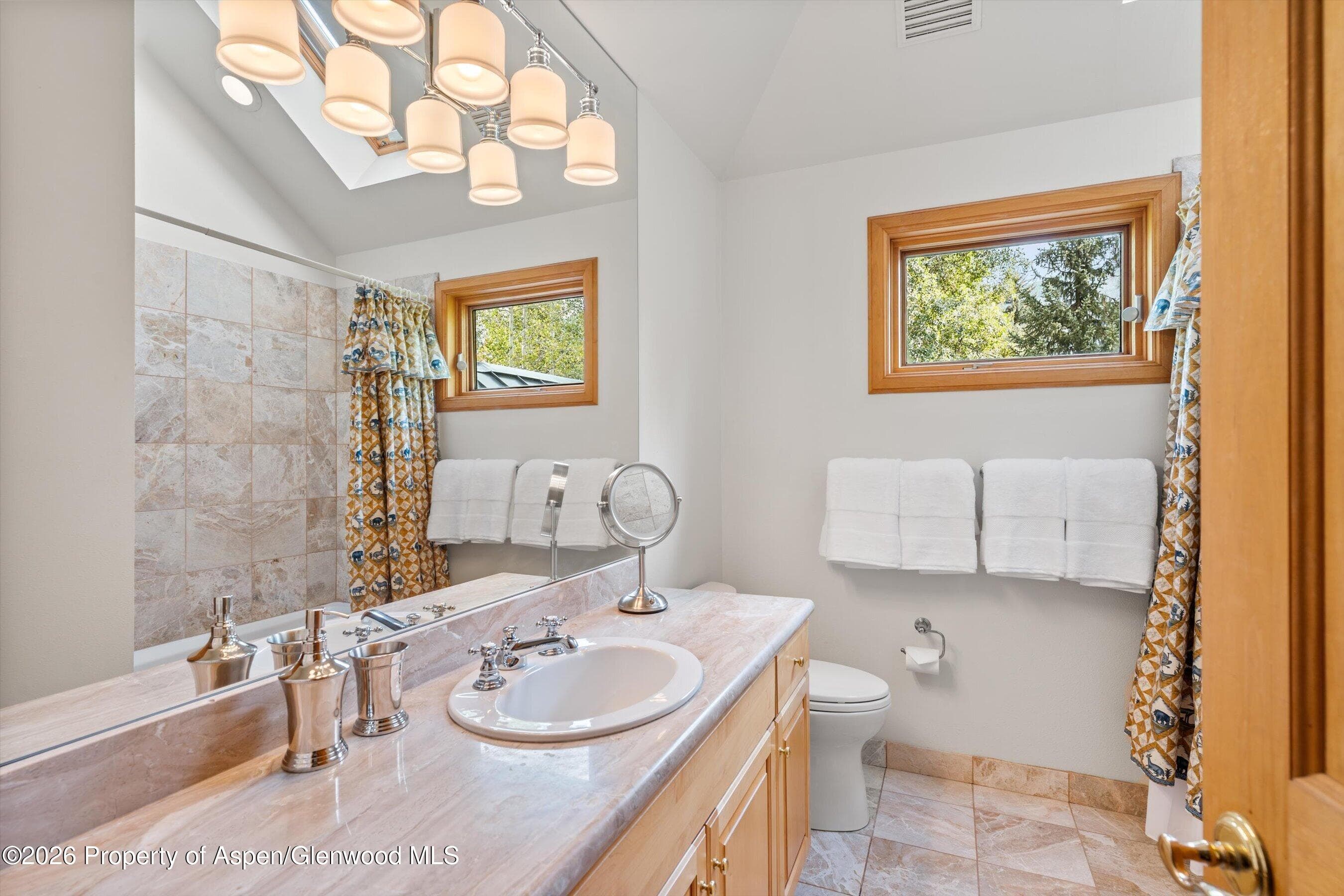 620 W Hallam Street, Aspen, CO 81611 - Photo 32