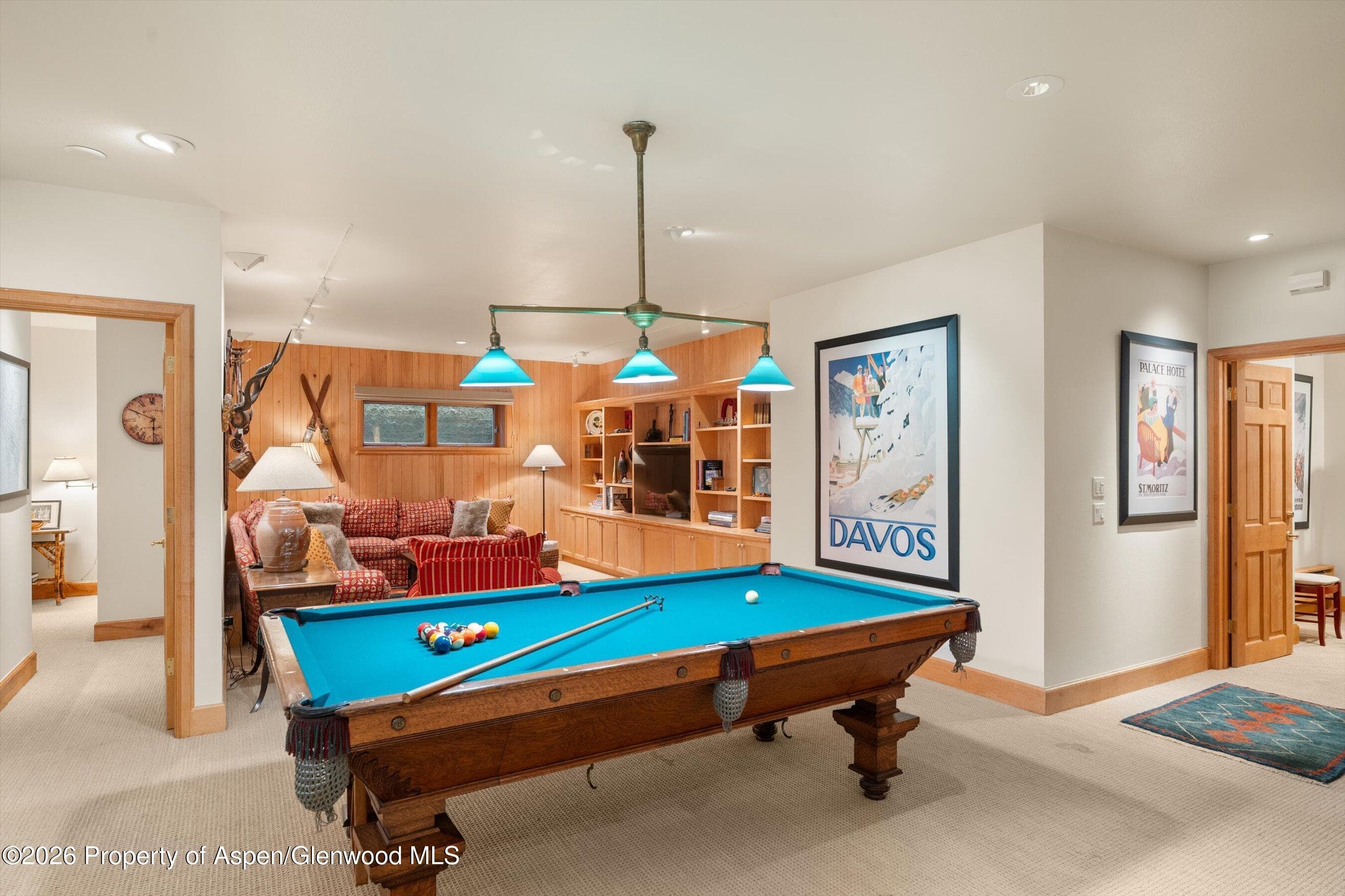 620 W Hallam Street, Aspen, CO 81611 - Photo 41