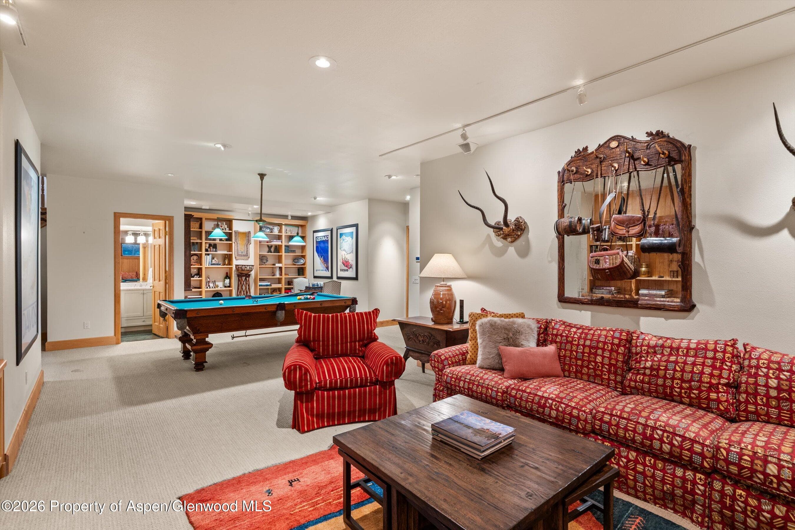 620 W Hallam Street, Aspen, CO 81611 - Photo 43