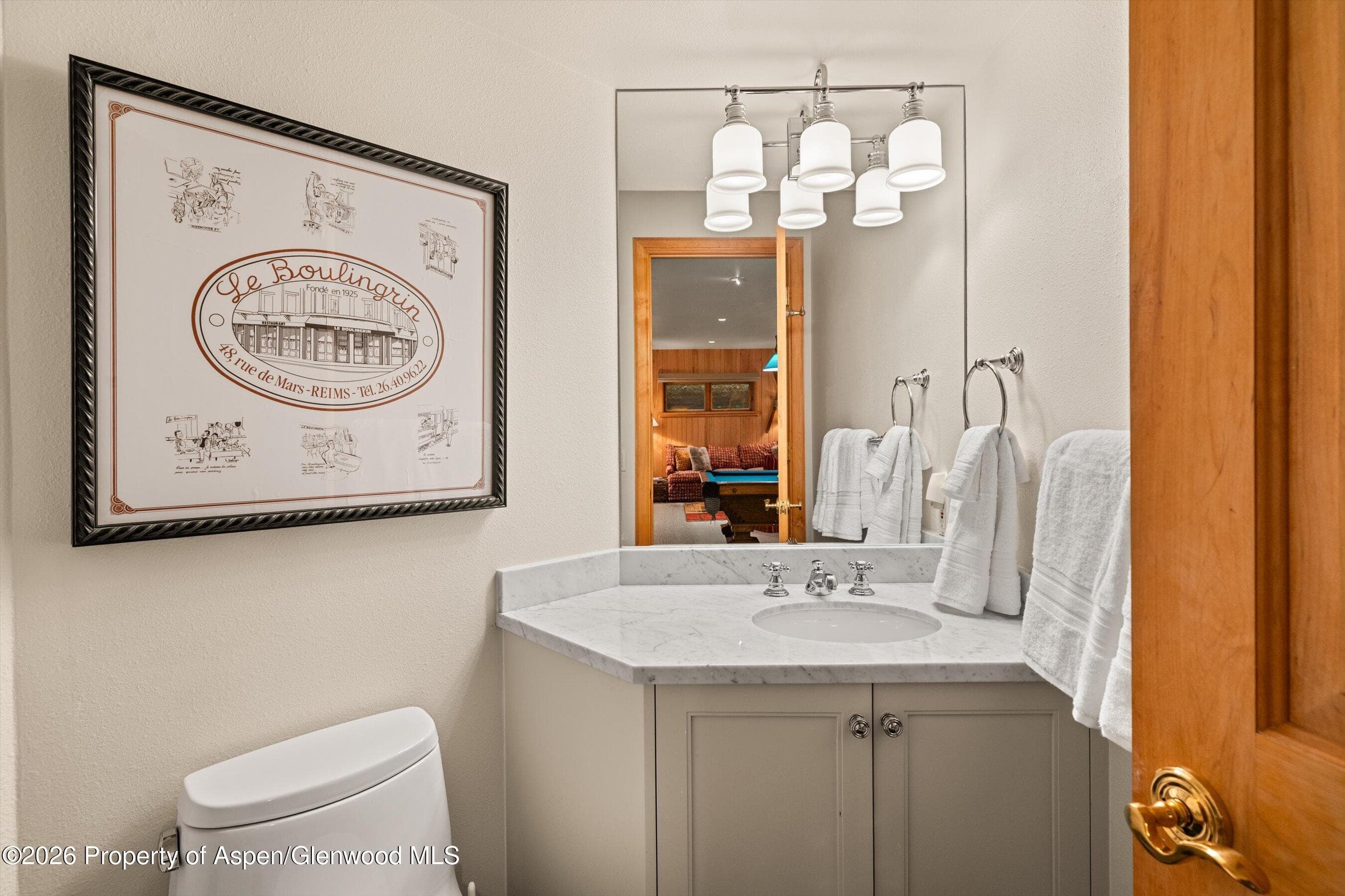 620 W Hallam Street, Aspen, CO 81611 - Photo 45