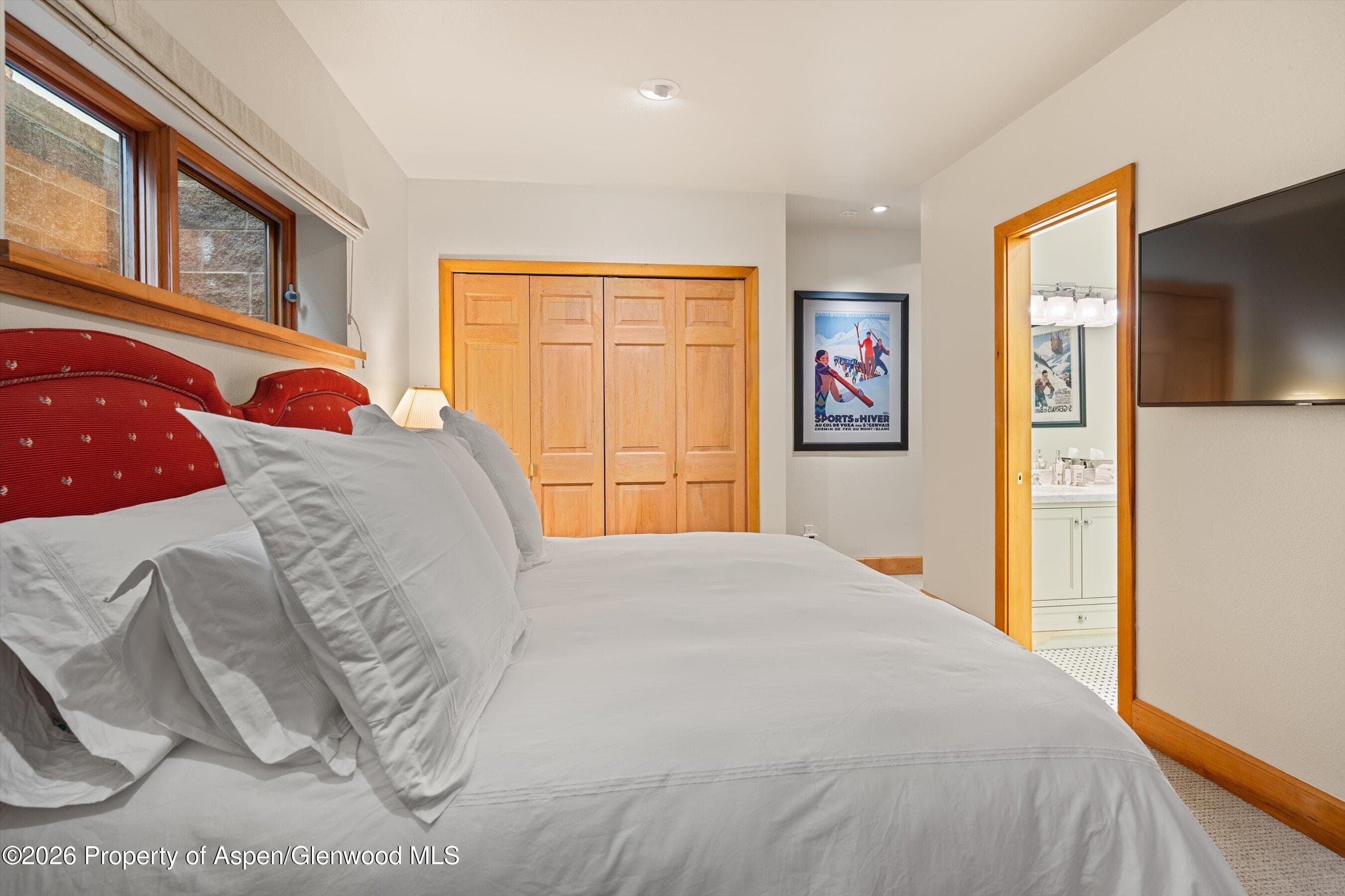 620 W Hallam Street, Aspen, CO 81611 - Photo 47