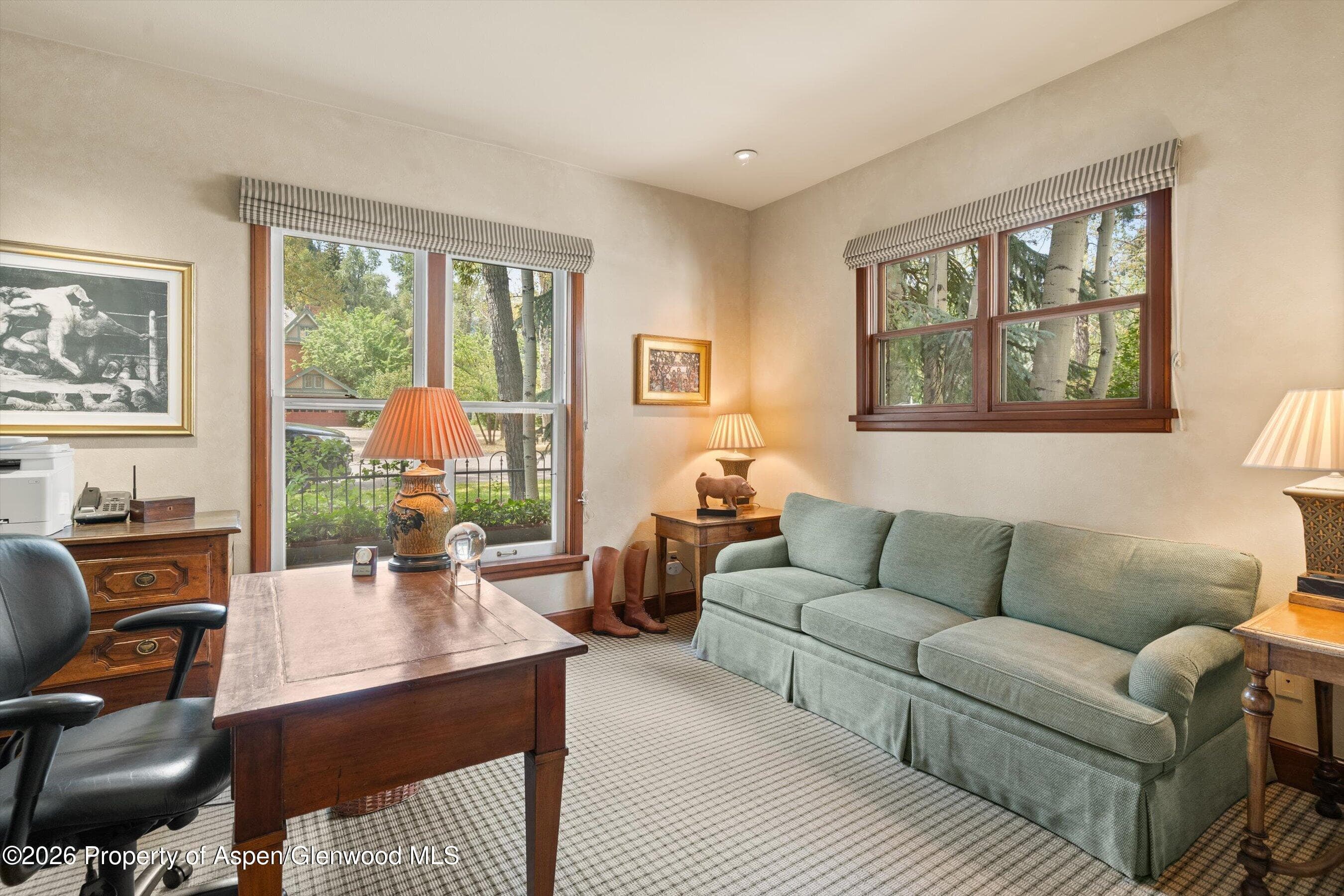 620 W Hallam Street, Aspen, CO 81611 - Photo 35