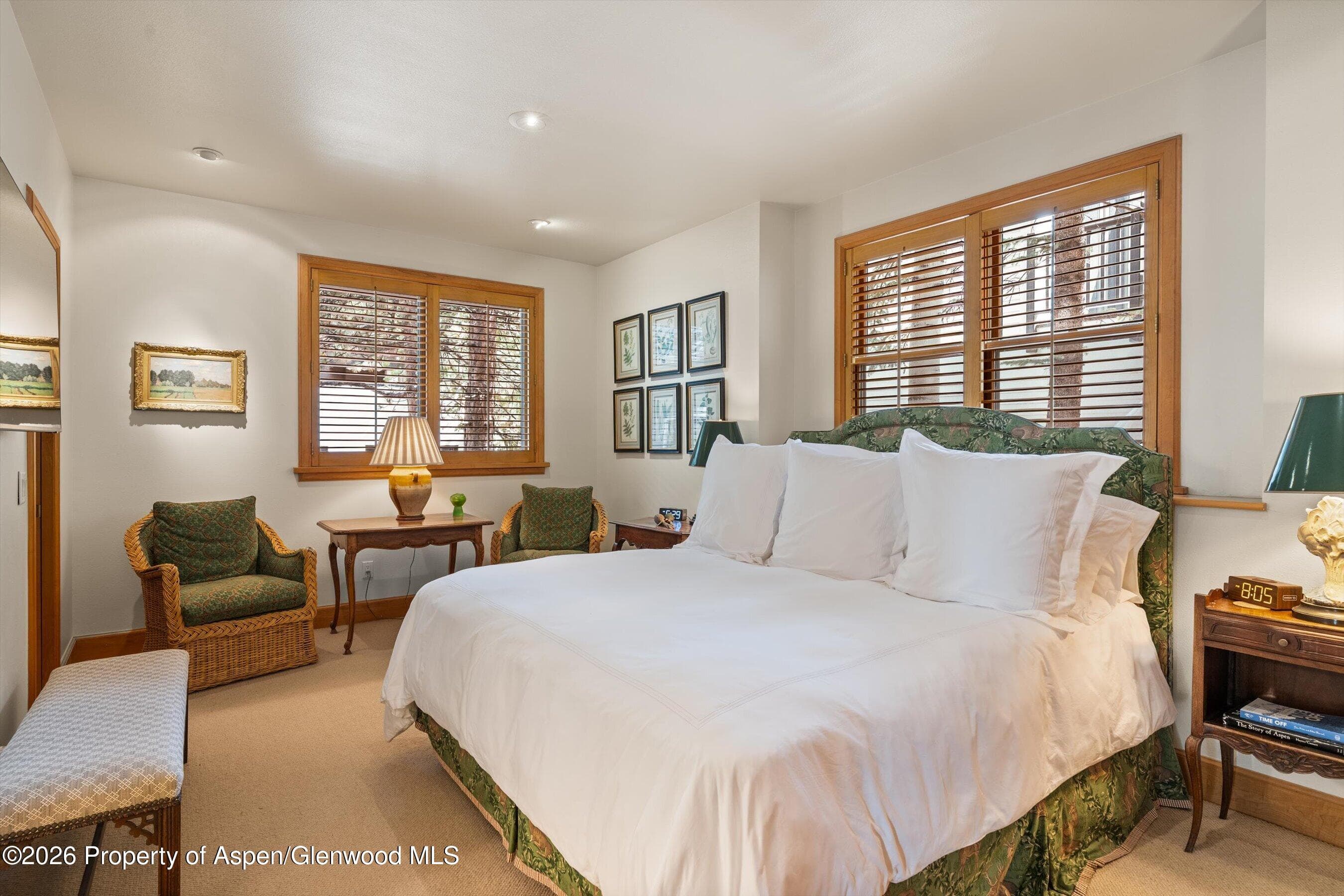 620 W Hallam Street, Aspen, CO 81611 - Photo 38