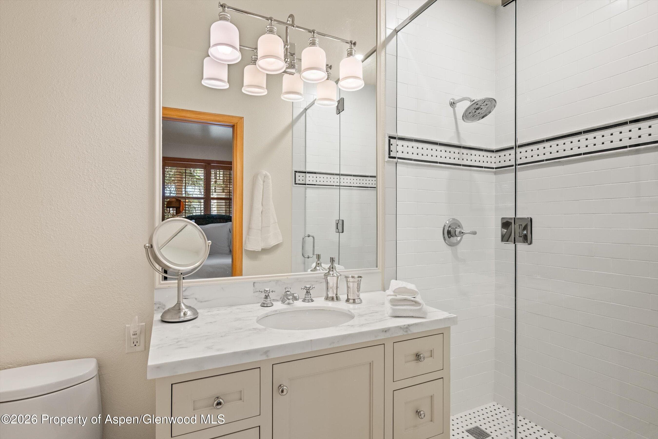 620 W Hallam Street, Aspen, CO 81611 - Photo 48